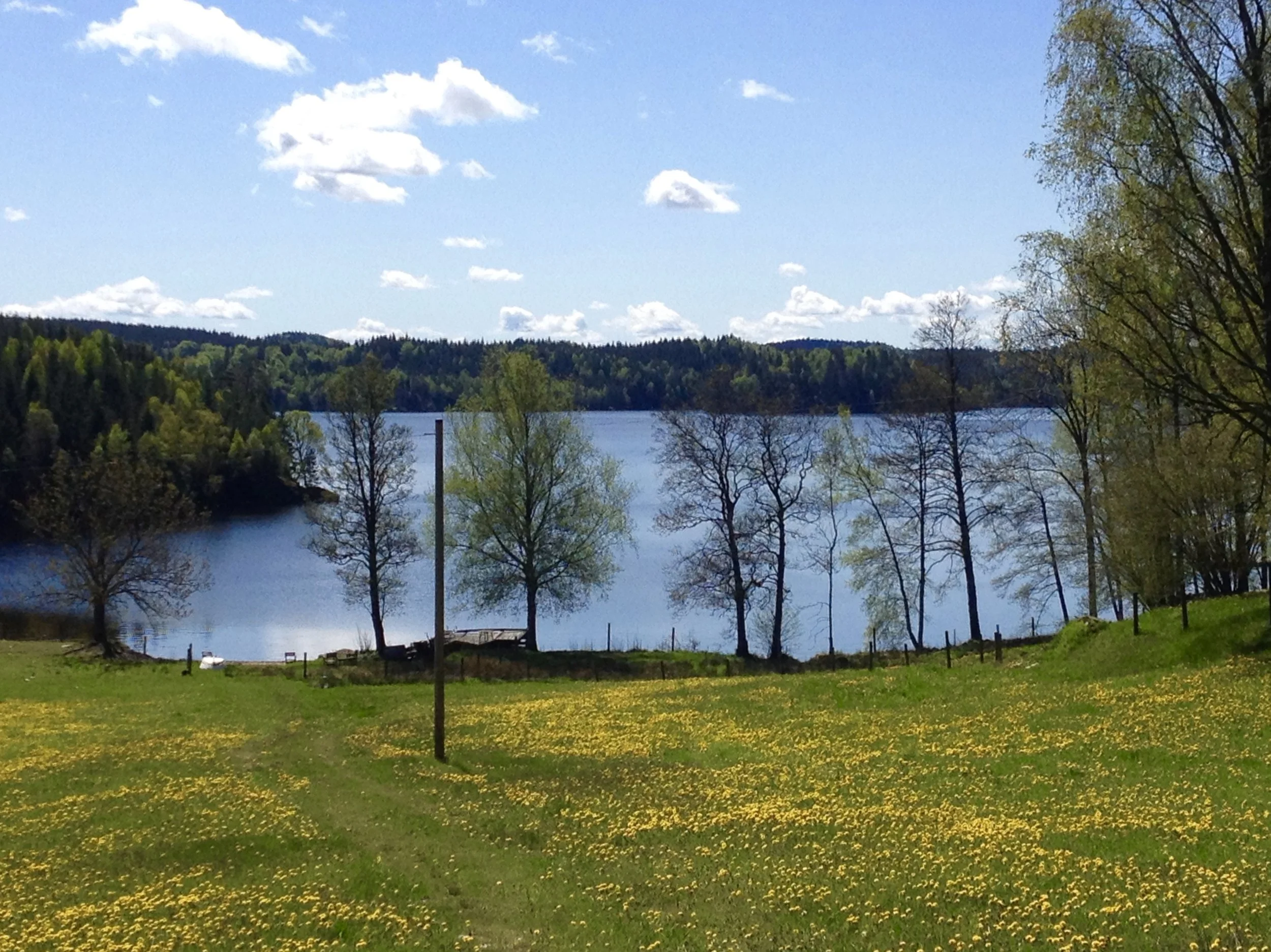 Stora Hålsjön