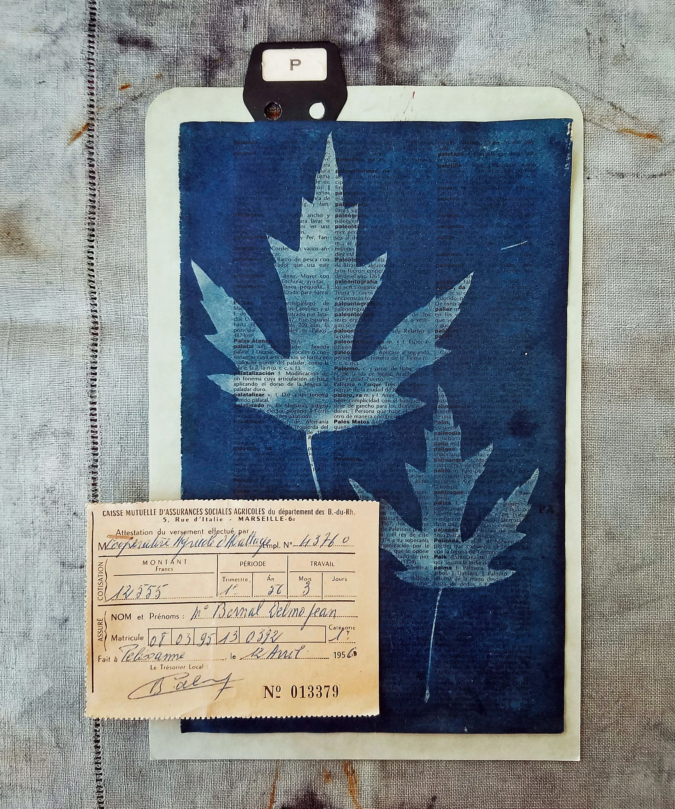 initial leaf.jpg