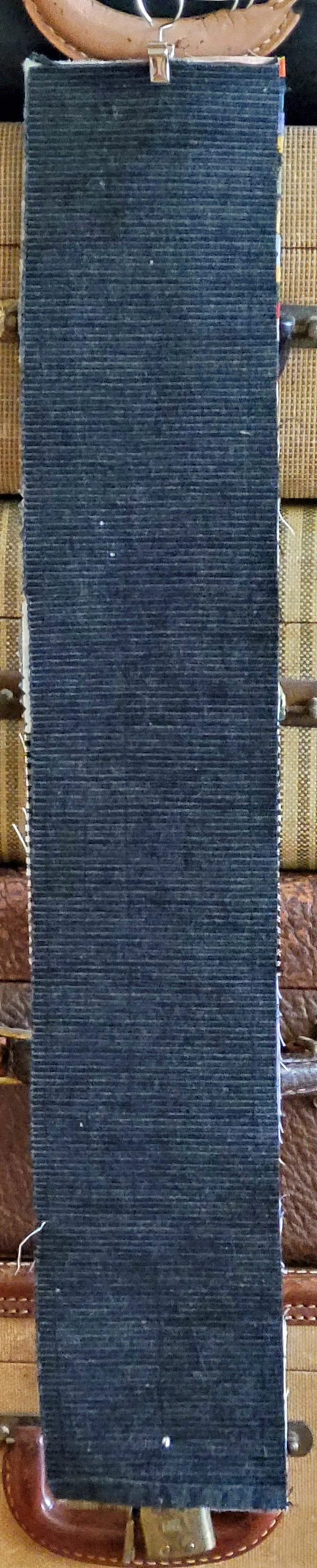 stay curious - back.jpg