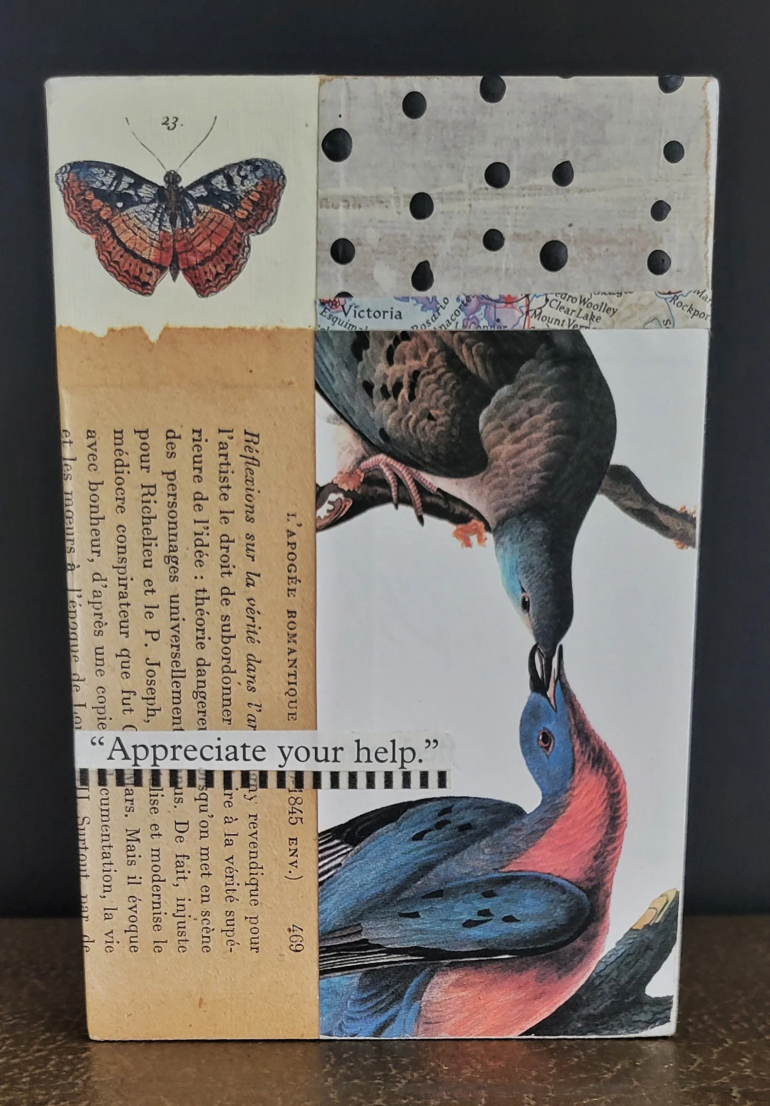 audubon duo overall.jpg