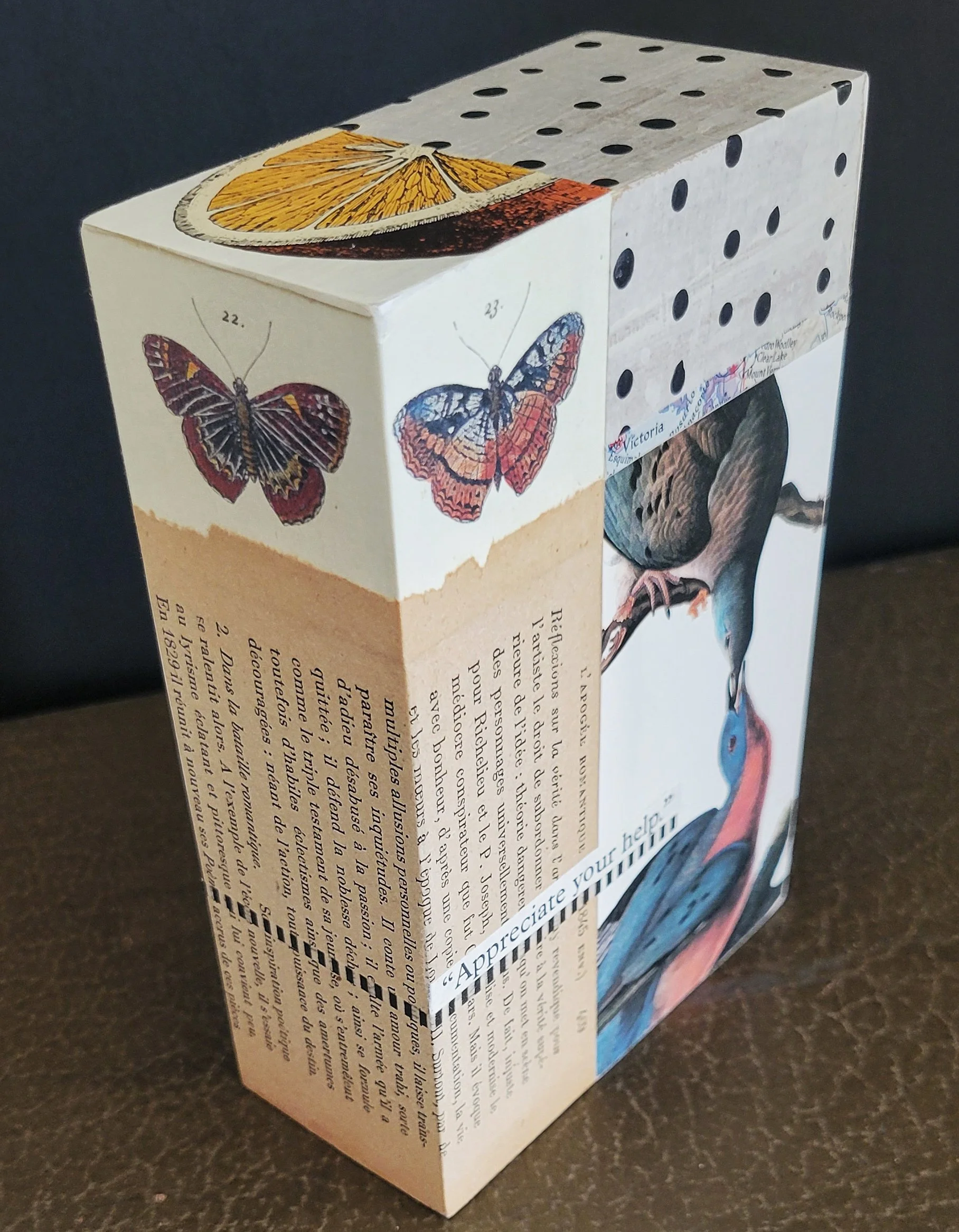 audubon duo side 1 with top.jpg