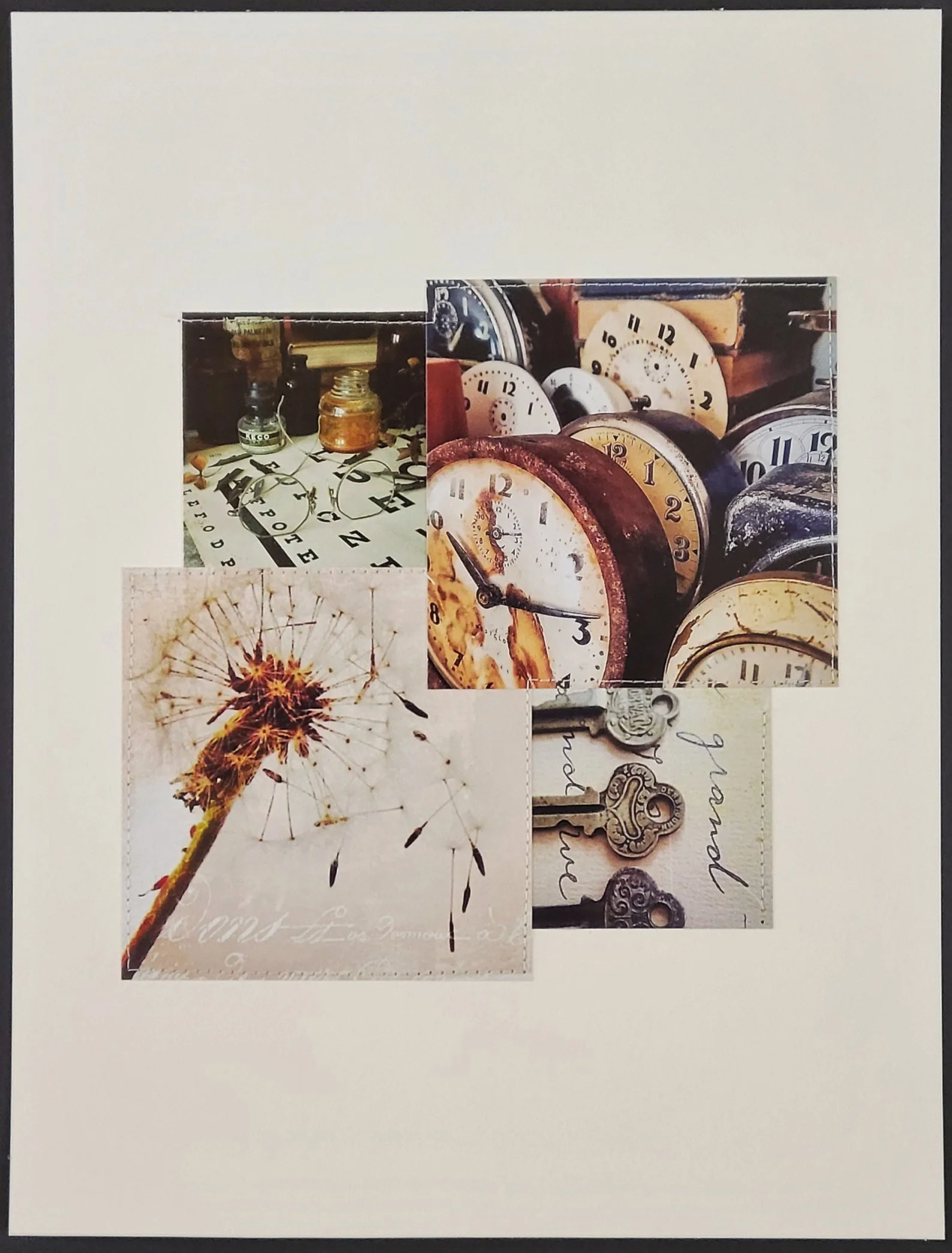 dandelion overall.jpg