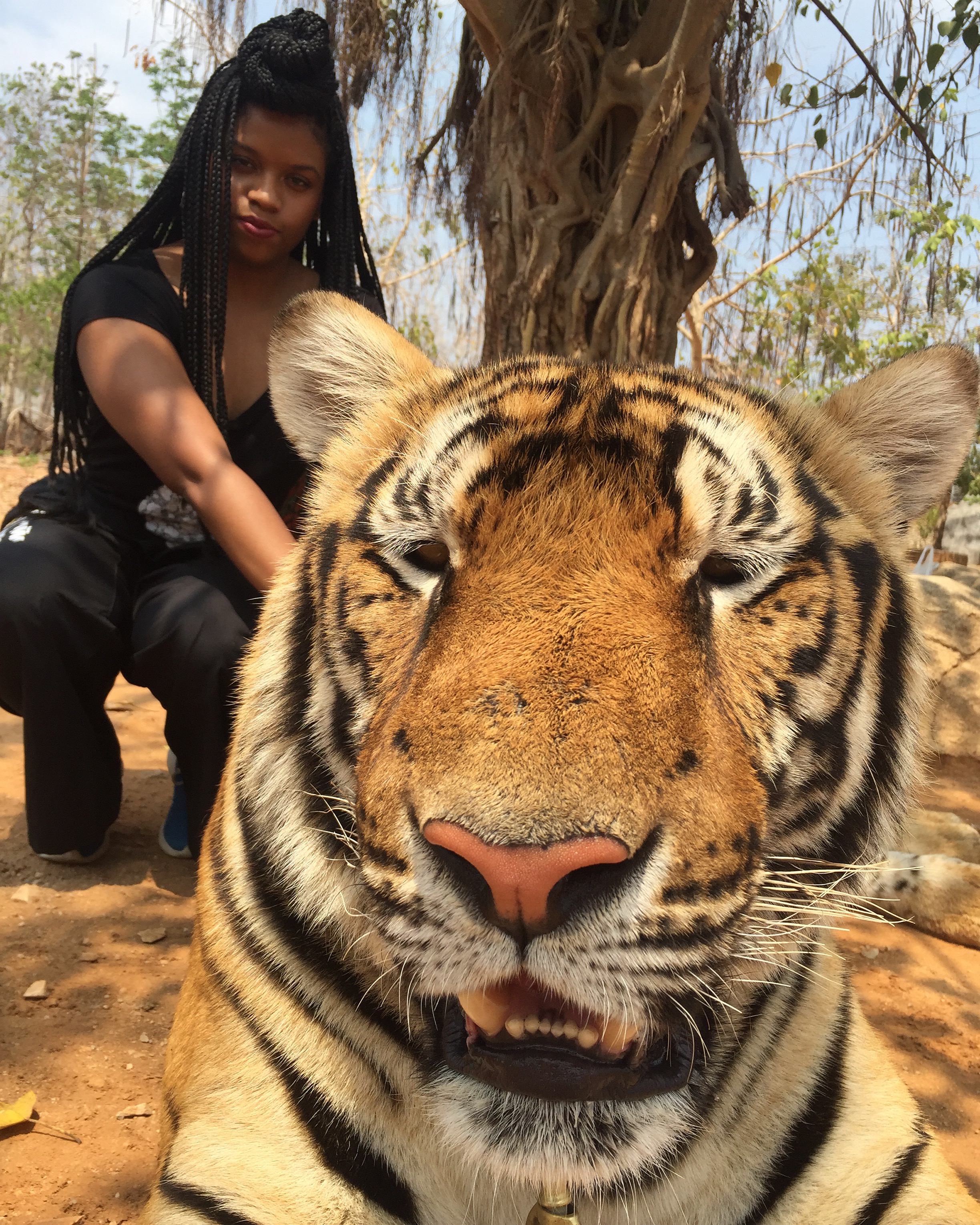 Jennifer Montgomery (Jennifer Mo) with Tiger in Thailand.JPG