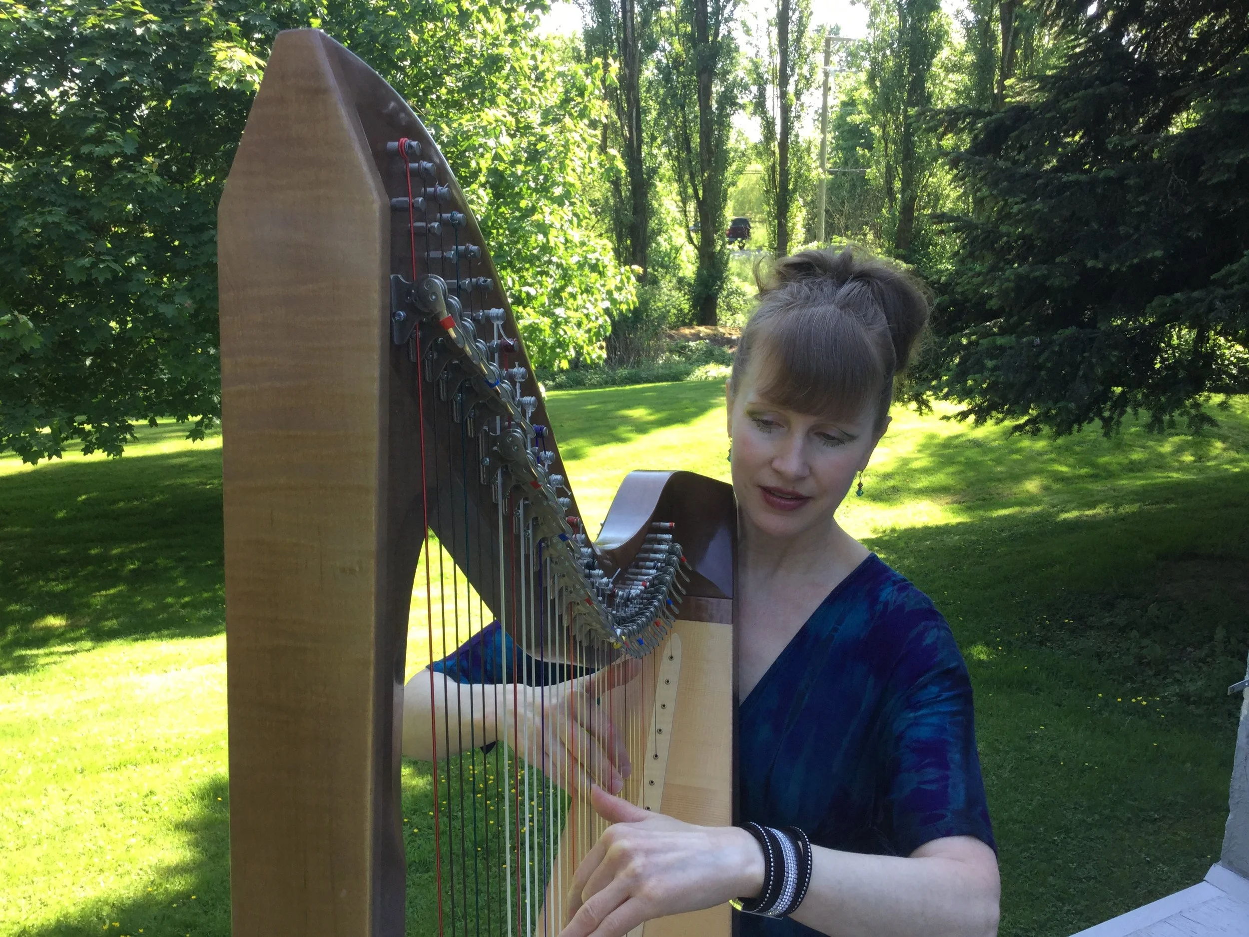 Leanne Page - Celtic Harpist and Singer