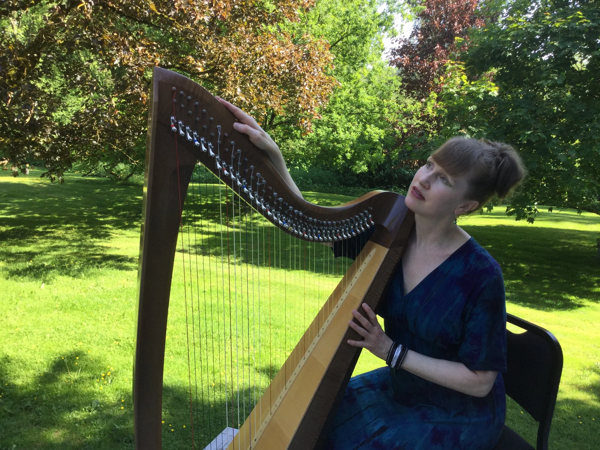 Leanne Page - Celtic Harpist and Singer
