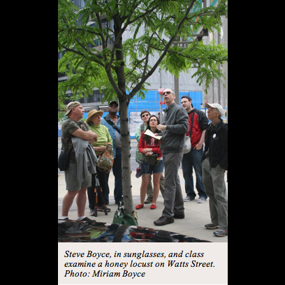 Quoted in the Tribeca Trib, June 2013