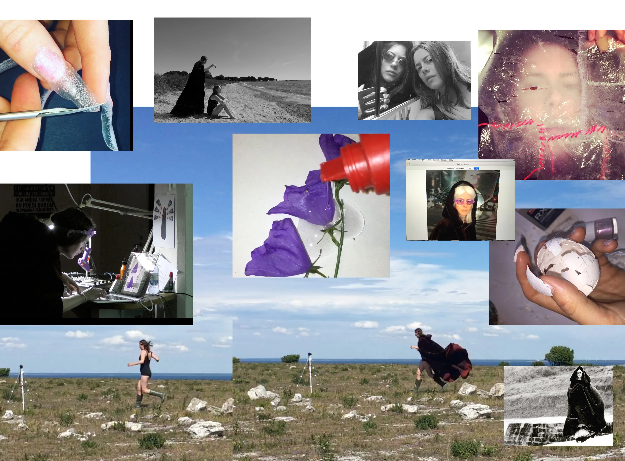 Limmerskan collage.jpg