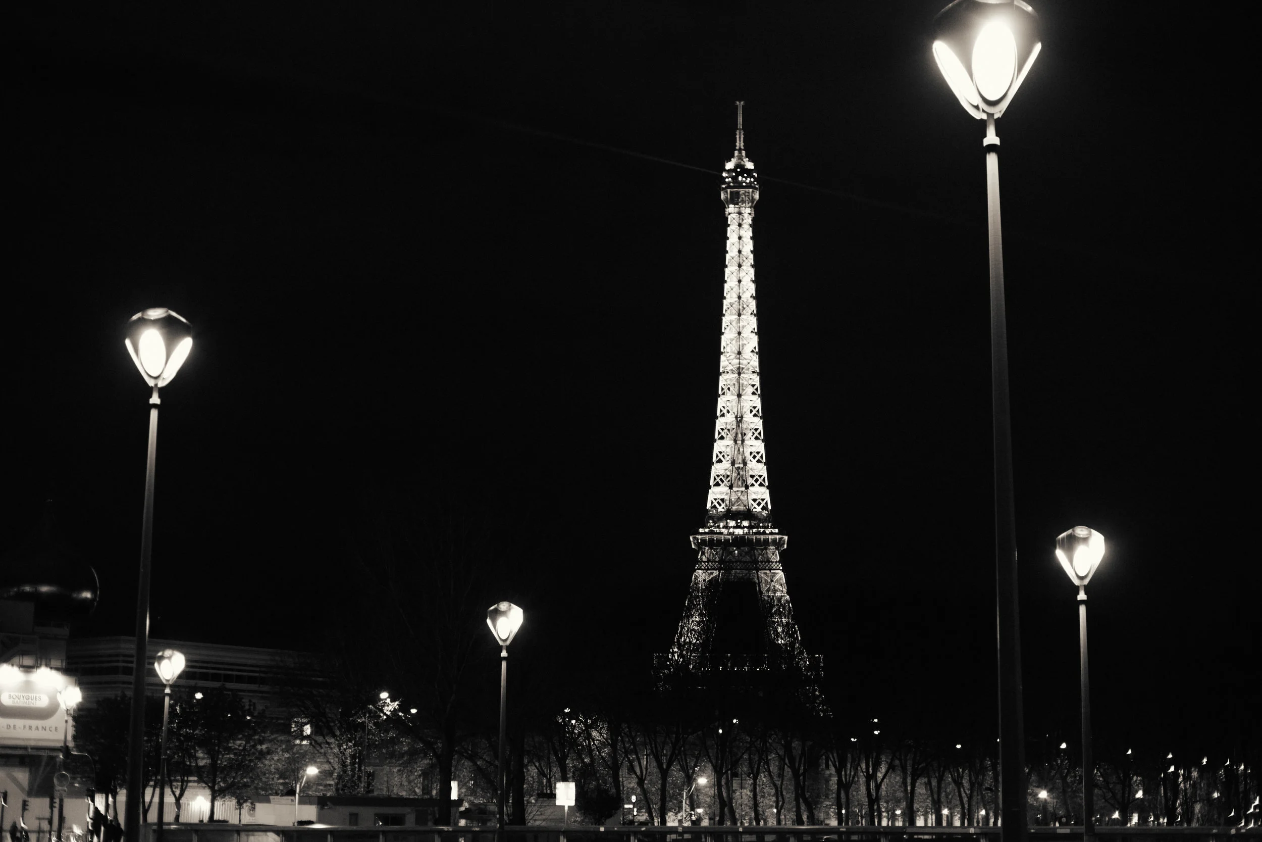 IMG_2306A.jpg