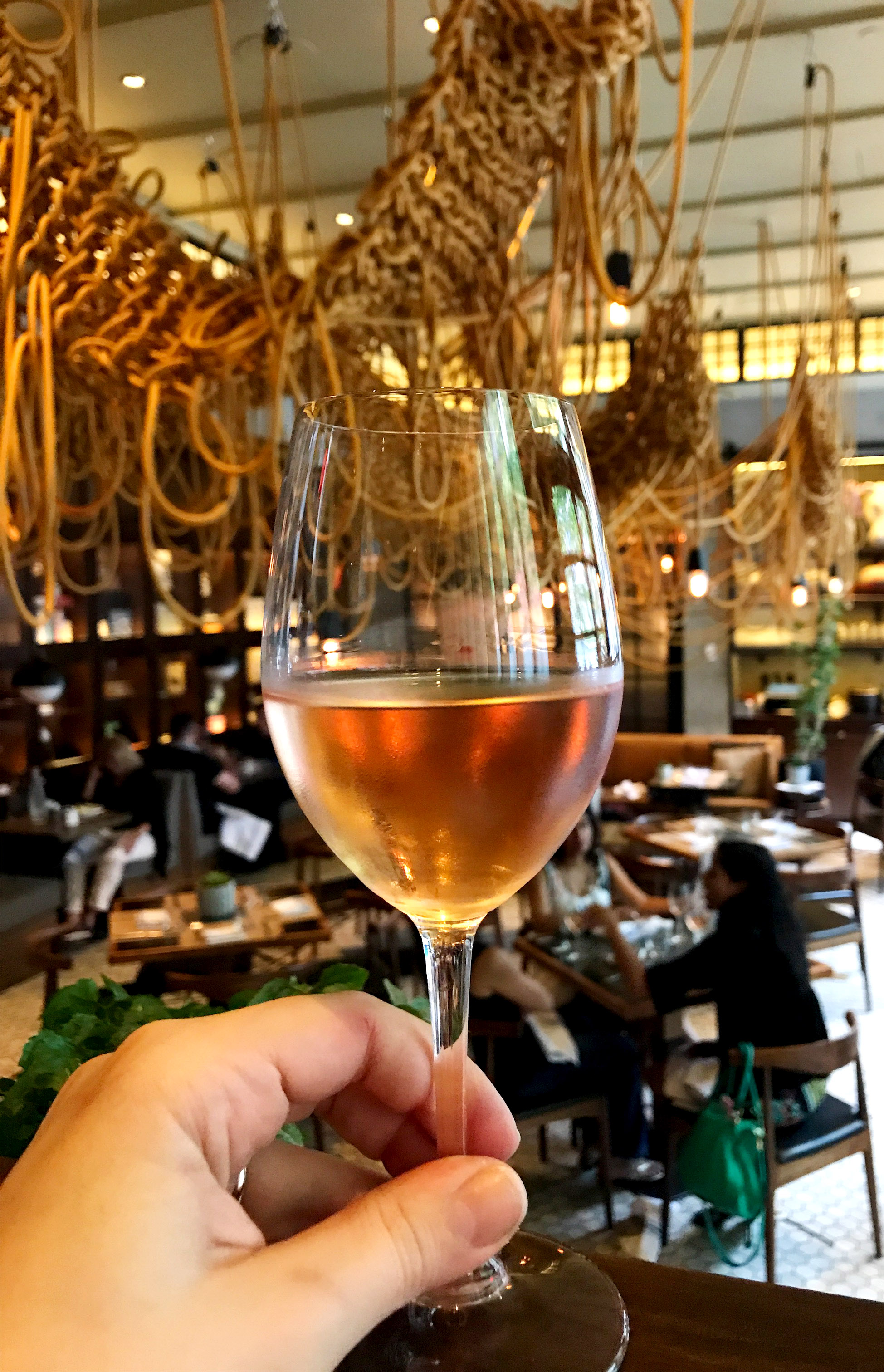 The Vine , photo by Bullfrog + Baum