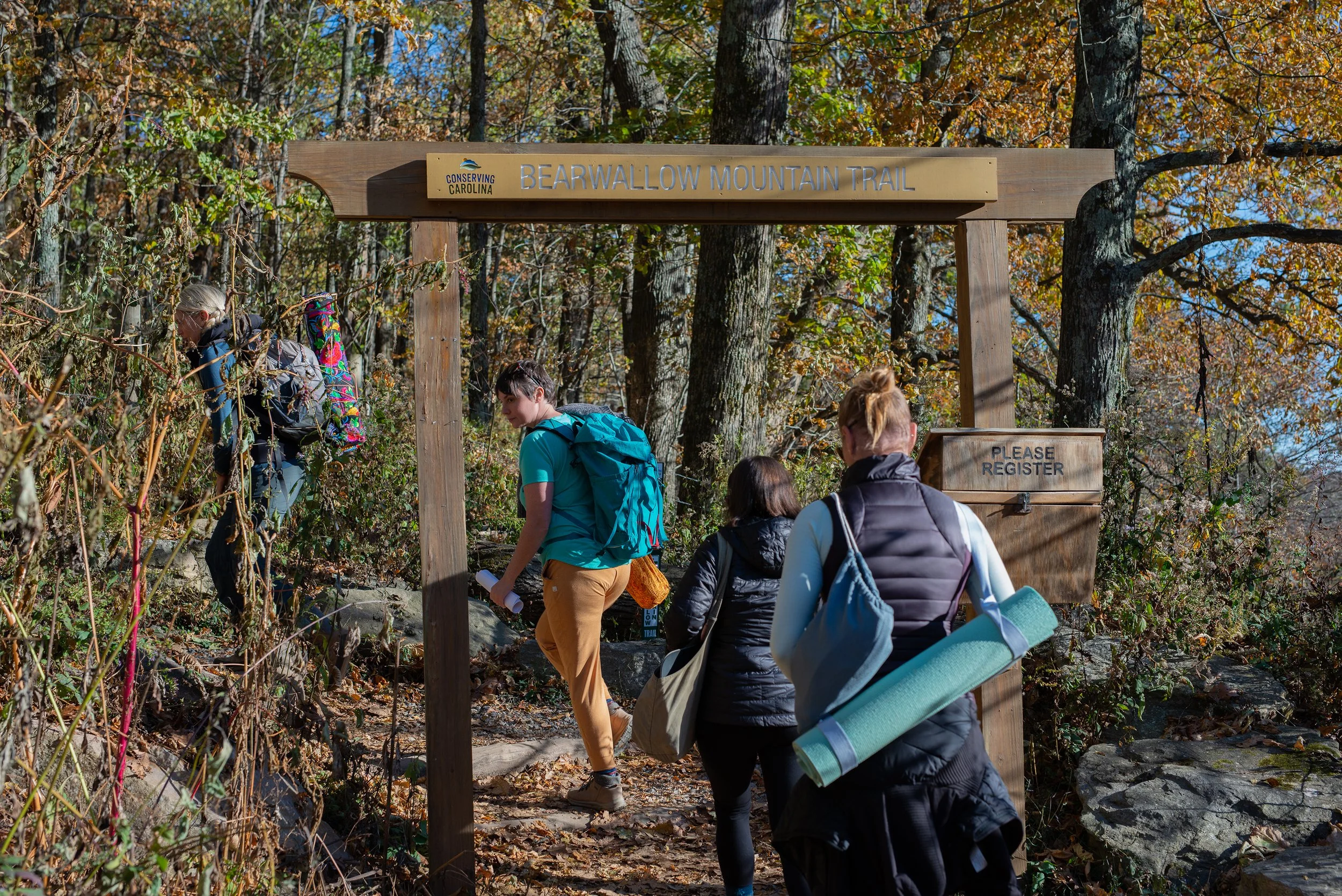 Wisdom & Lore: Plant Identification and Yoga Hike