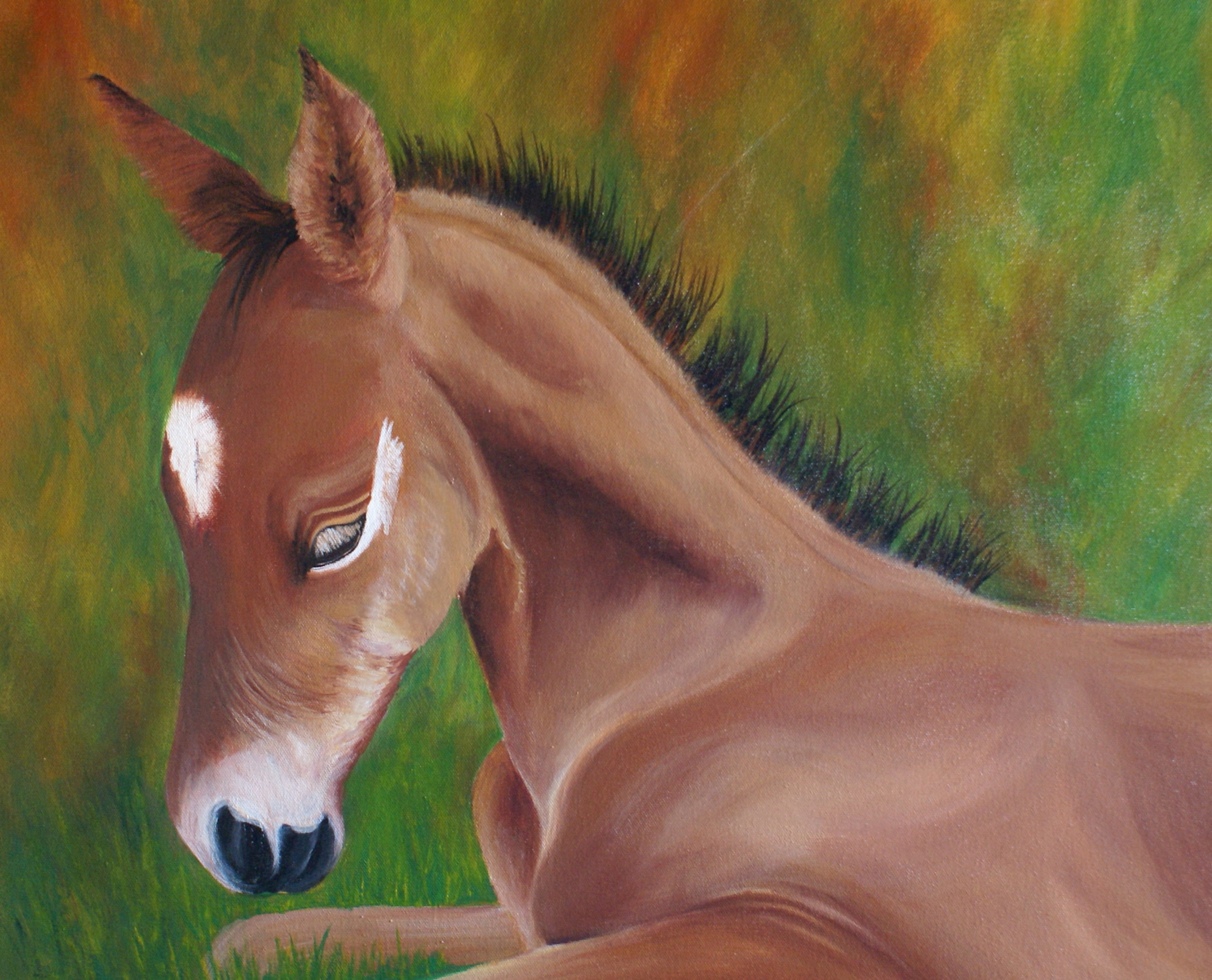 #18 "Foal in the Grass" $450