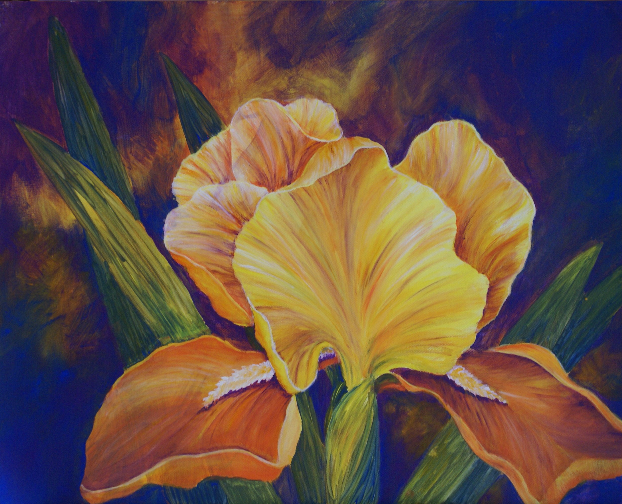 #12 Yellow Iris.JPG