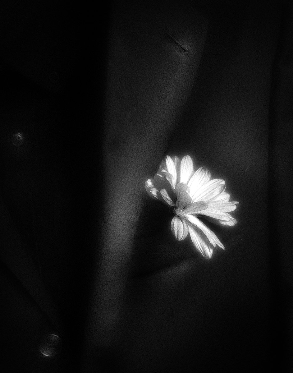 Flower on su3.jpg