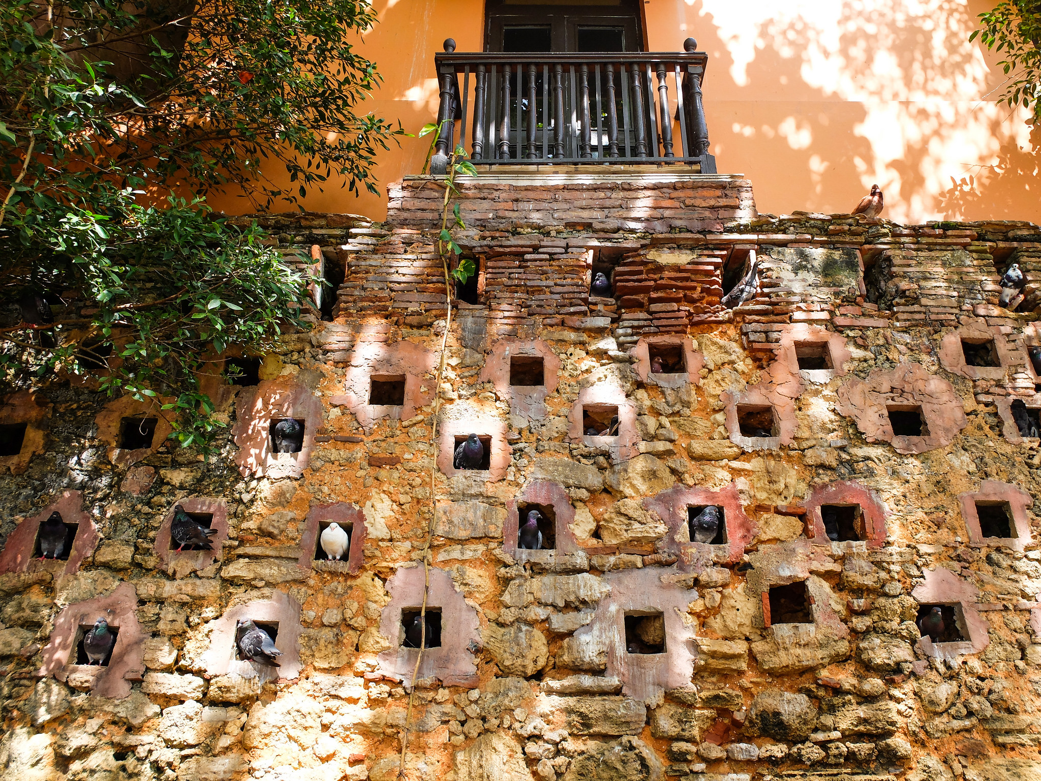 Parque de las palomas.jpg