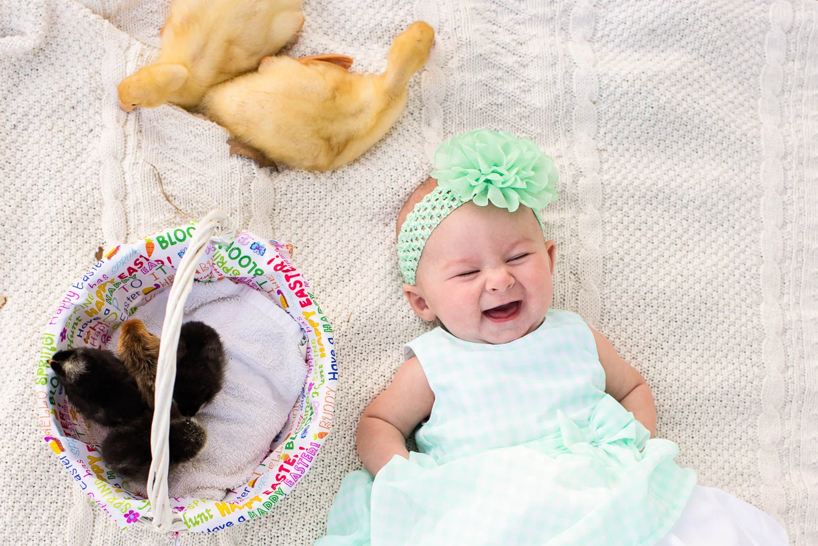 spring-photo-sessions-with-animals-vero-beach-03-8.jpg