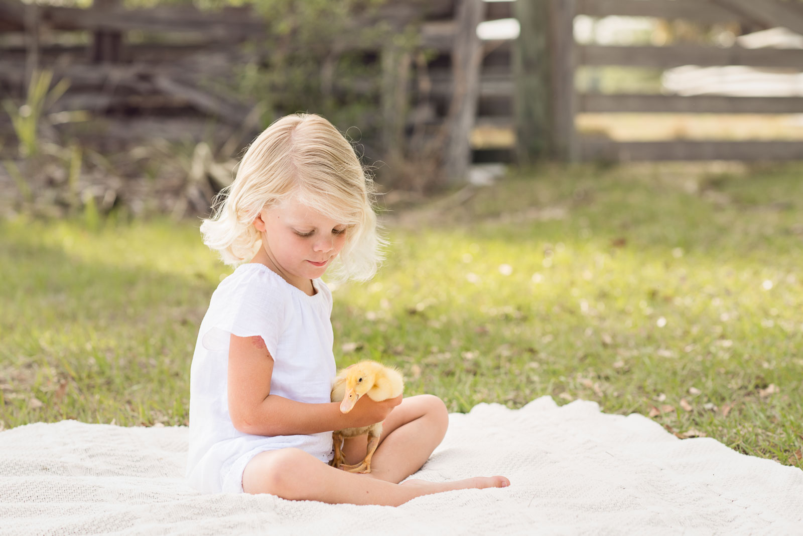 photo-sessions-children-animals-01.jpg