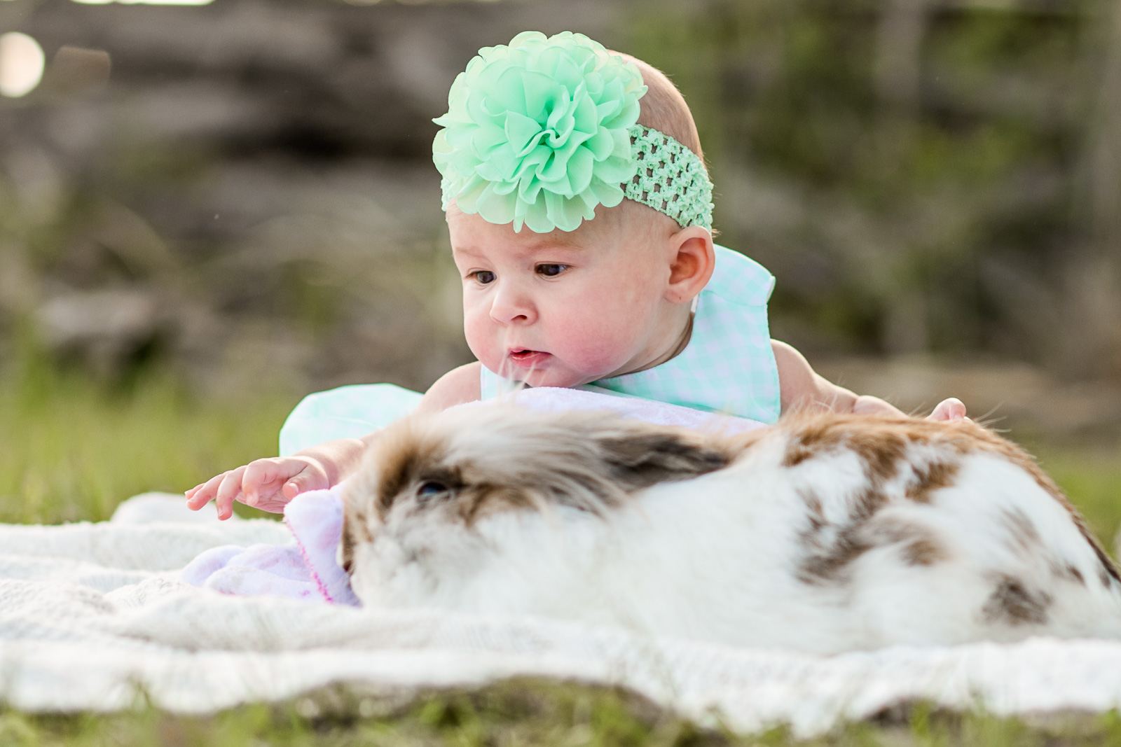 spring-photo-sessions-with-animals-vero-beach-03.jpg
