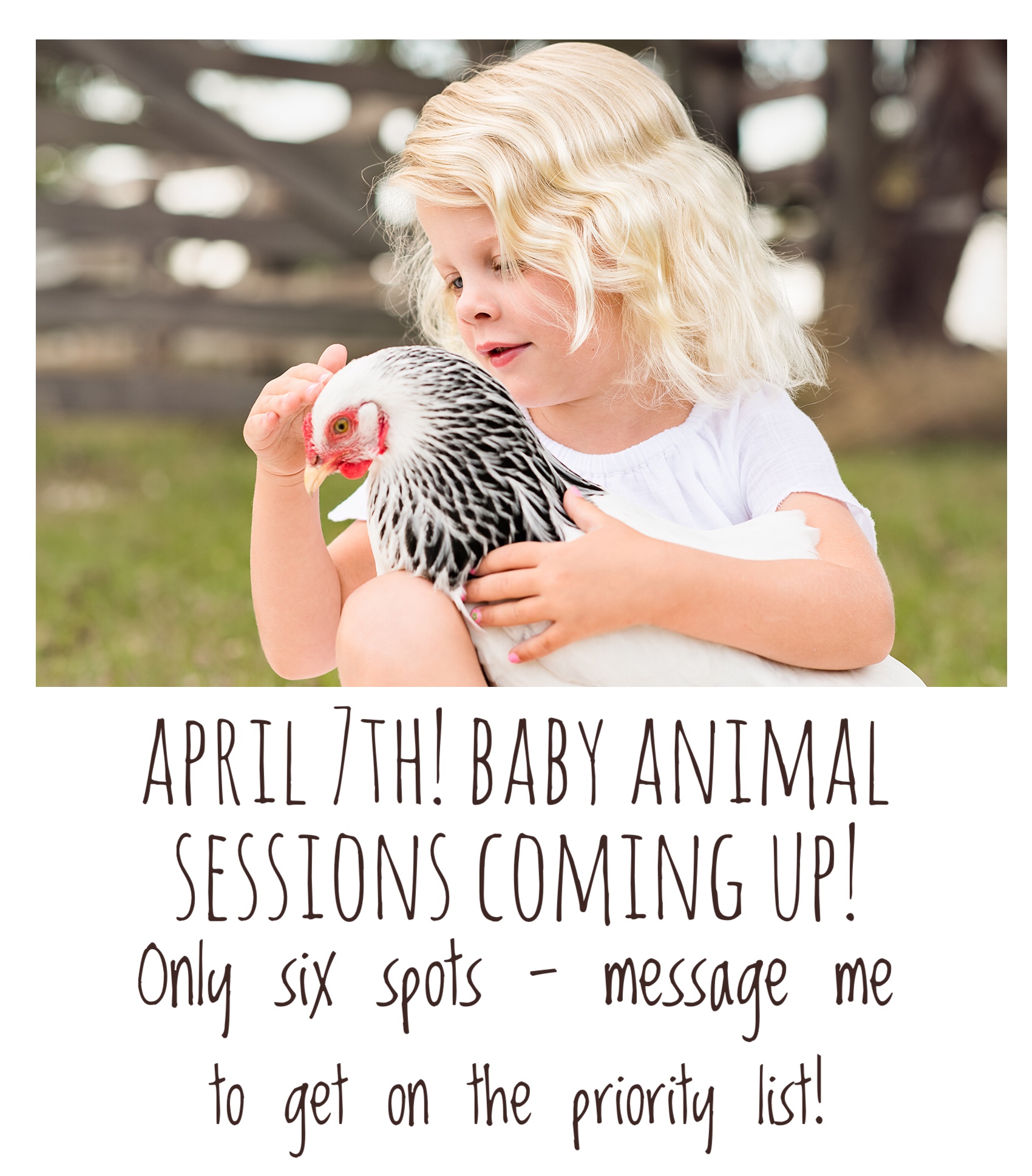 Spring Baby Animals Photo Sessions! — Stories of Joy Photography