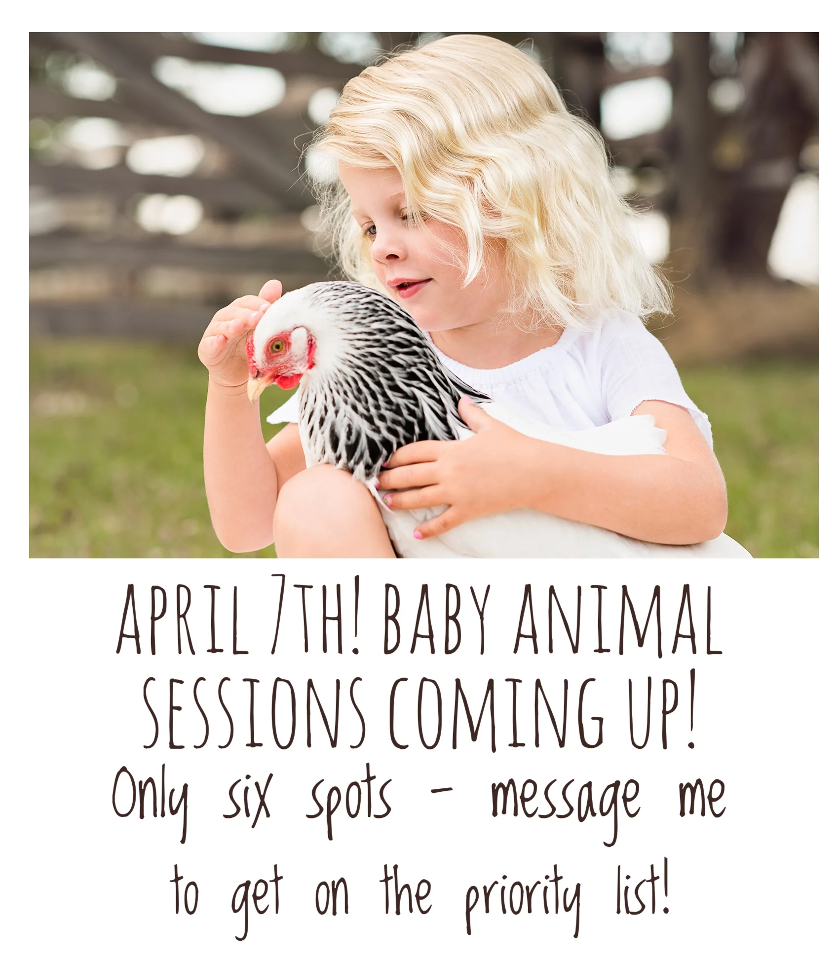 Baby-Animals-Spring-Photo-Sessions.jpg