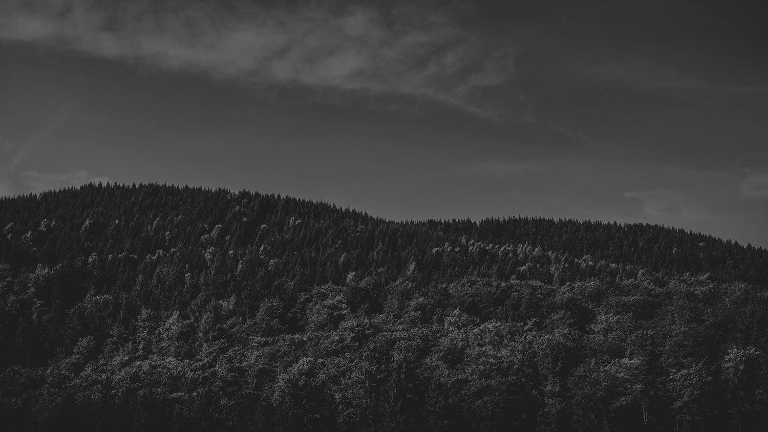 Viewfinder Harz