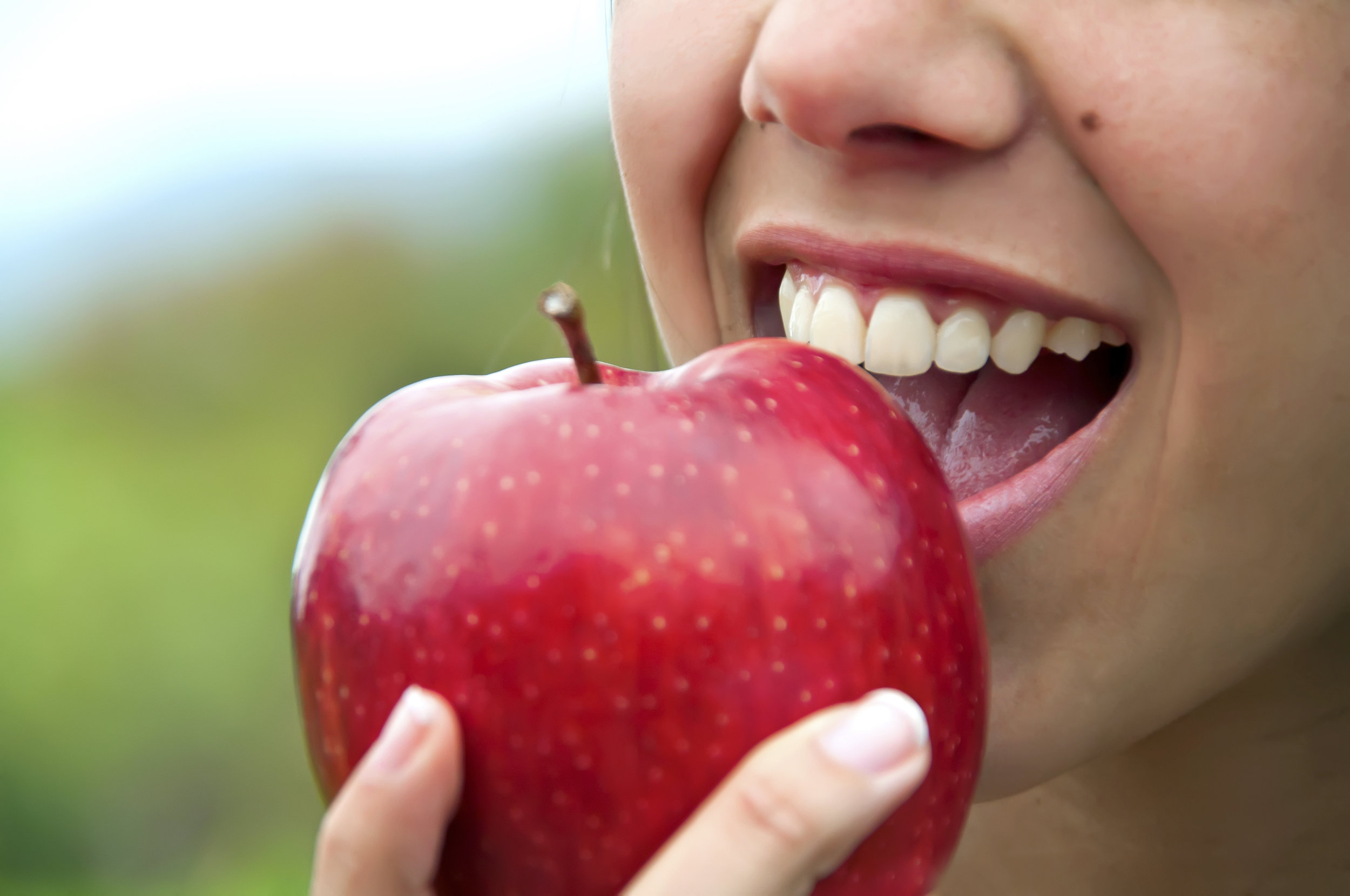 iStock_30764950_LARGE.jpg