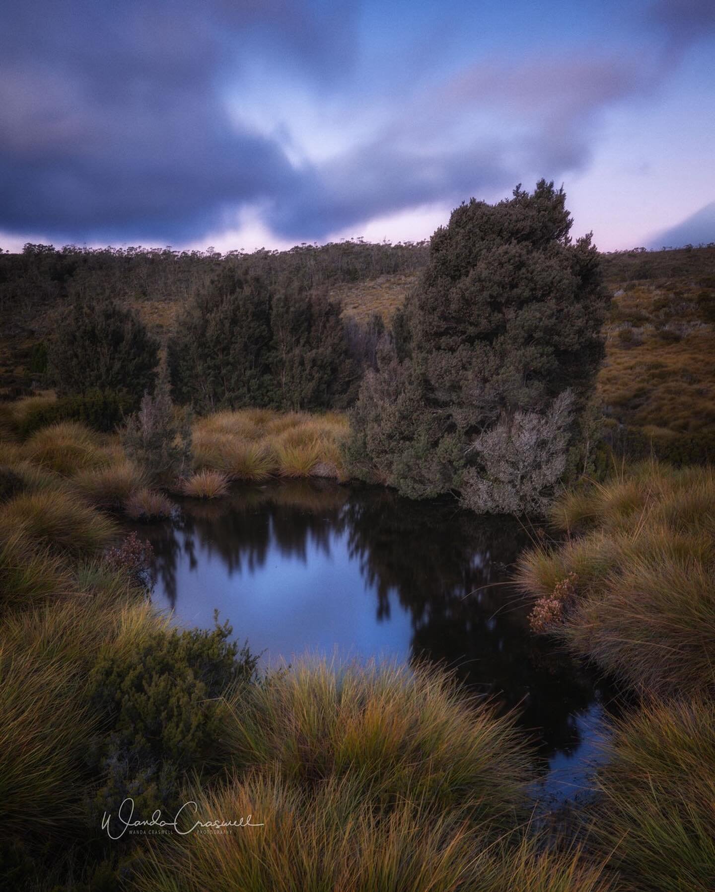 Cradle Mountain in Tasmania has SO much to offer the photographer: yes, there is the famous Dove Lake boatshed, there is the unique silhouette shape of the cradle on the mountain&hellip;.but there is also dense green lush forest, tiny flowers, beauti