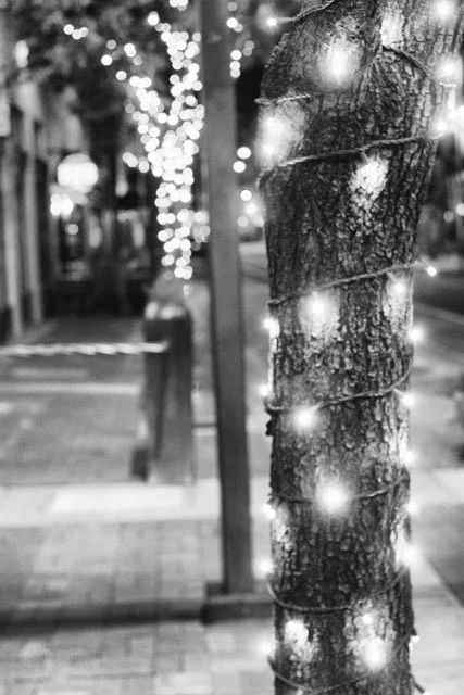 Pre christmas in Tucson-31-Edit.jpg