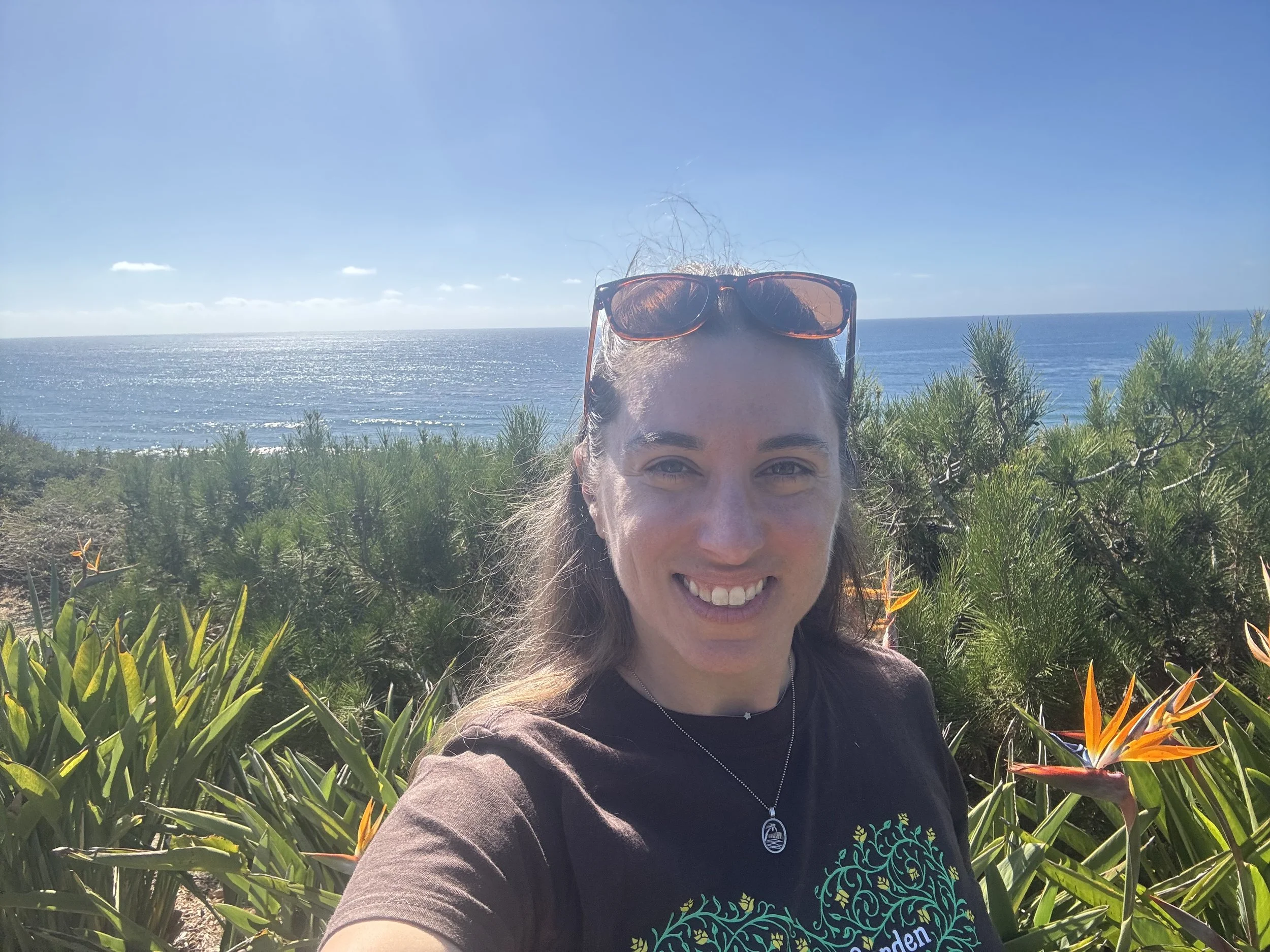 Reflections on Life since I Retired from Corporate America