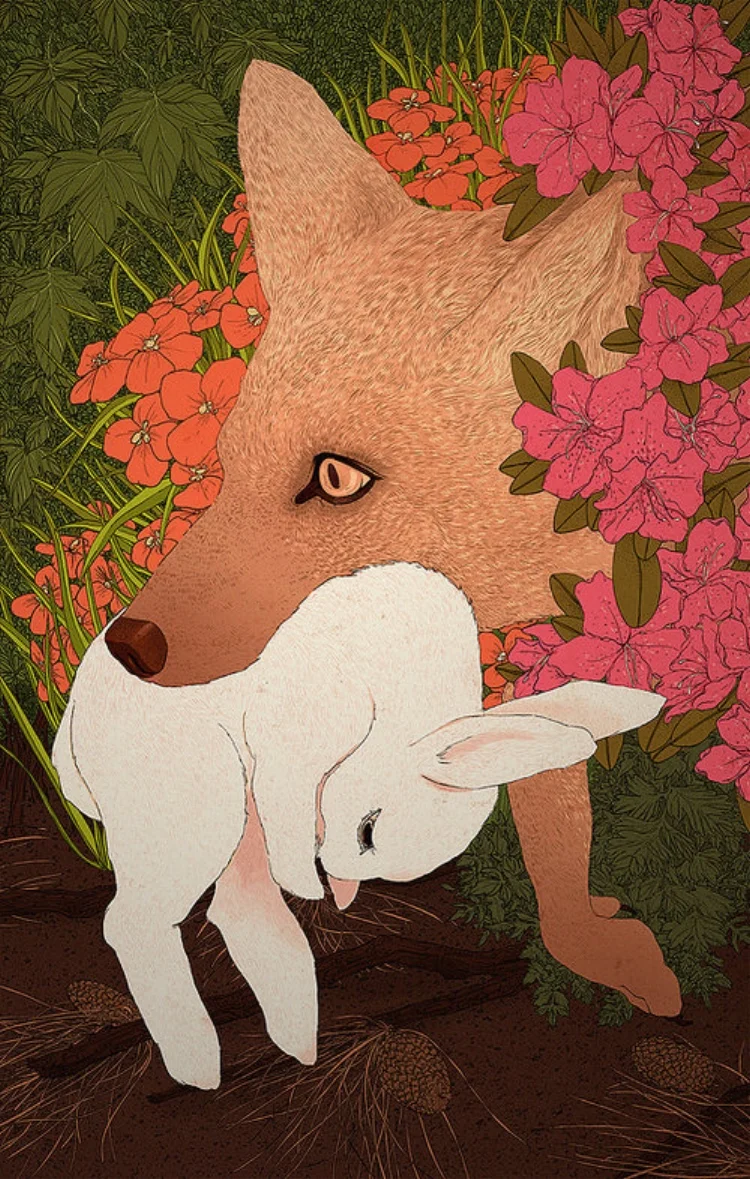 fox & rabbit