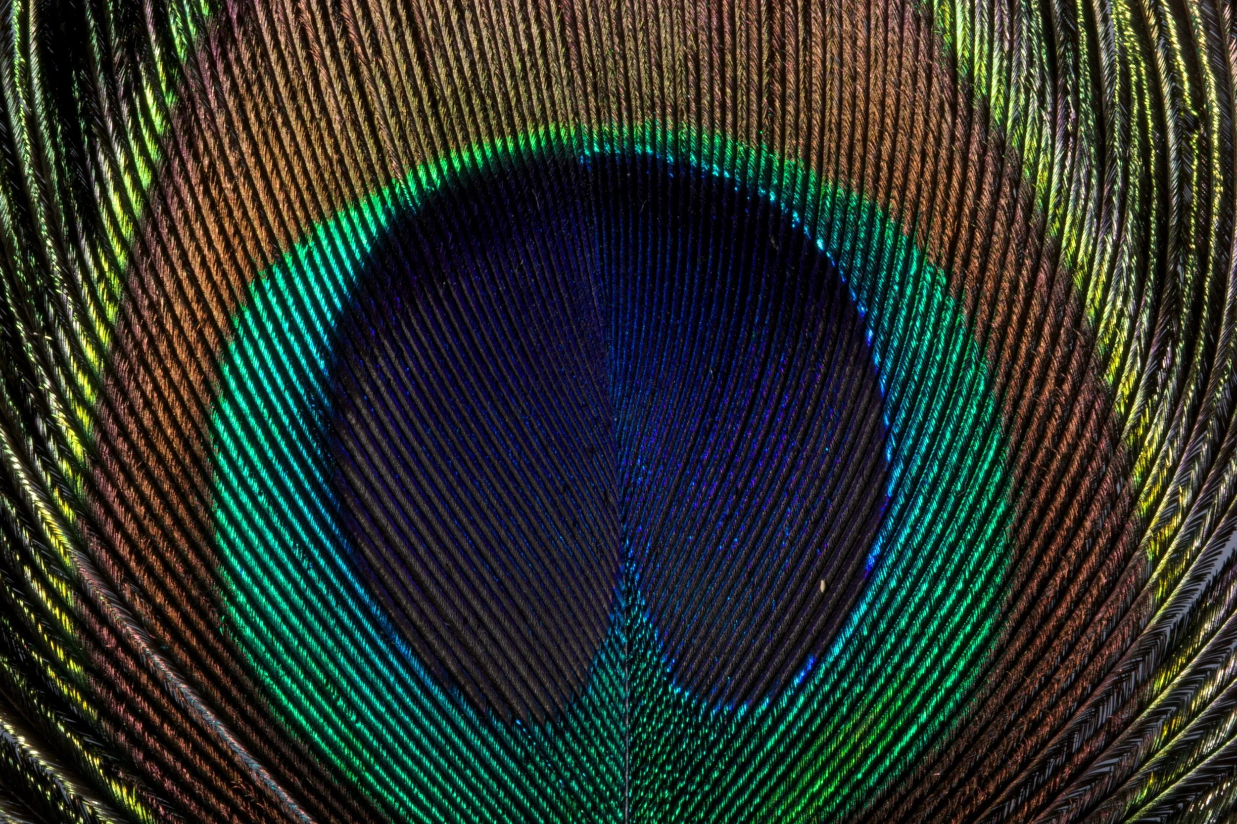 arushee-agrawal-5304-unsplash.jpg
