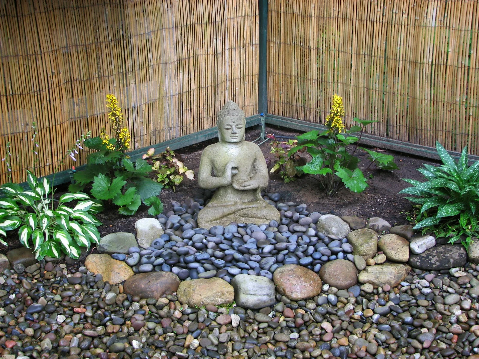 Garden Buddha.jpg