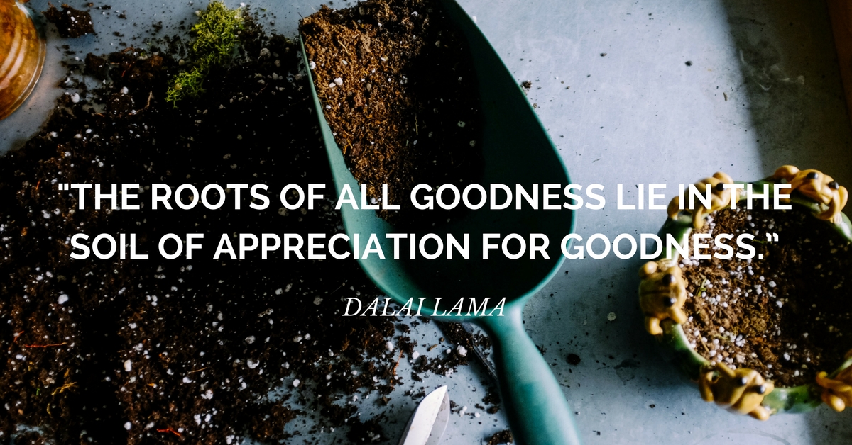 Gratitude