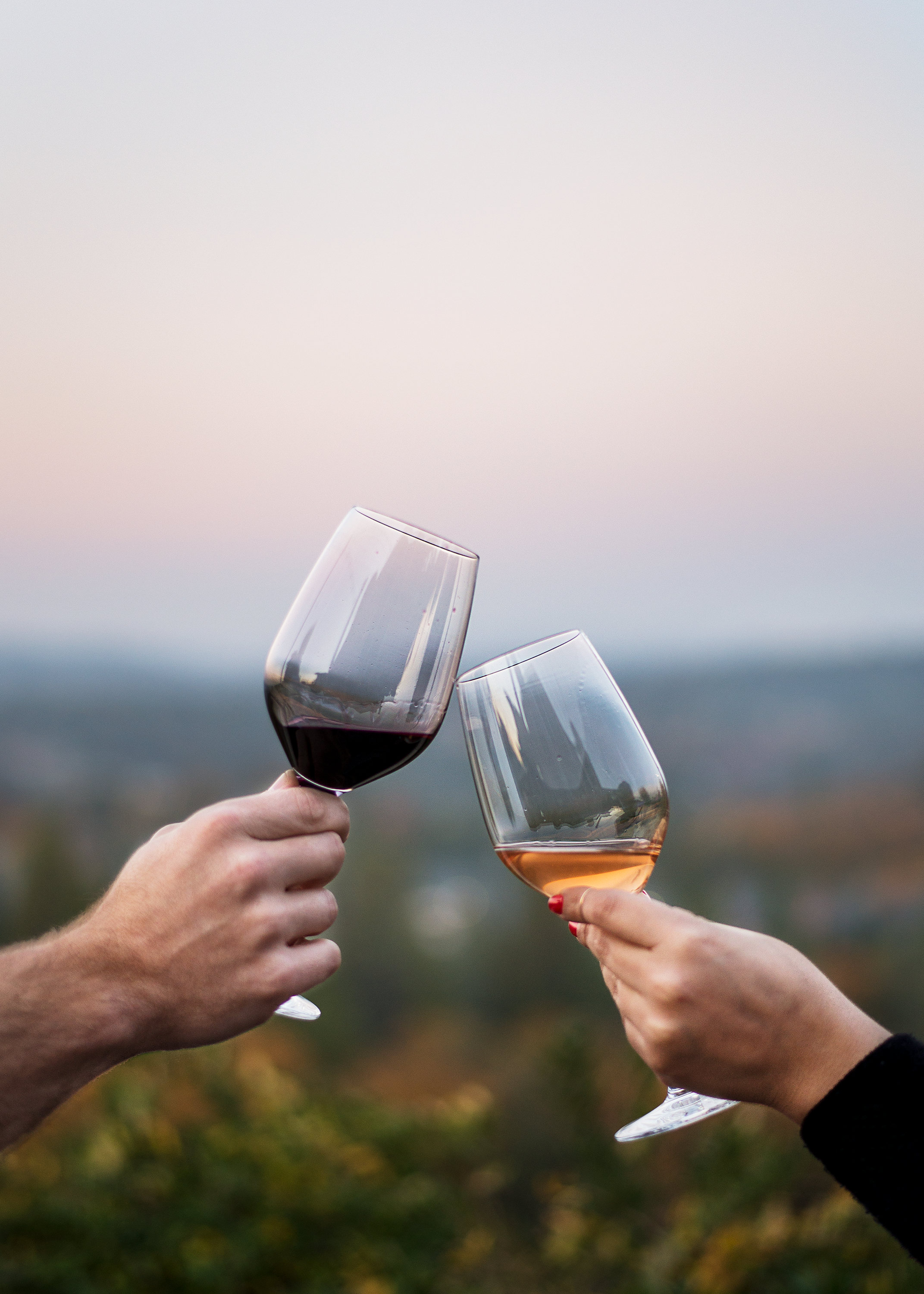 Winery_YarceniaGarcia.png