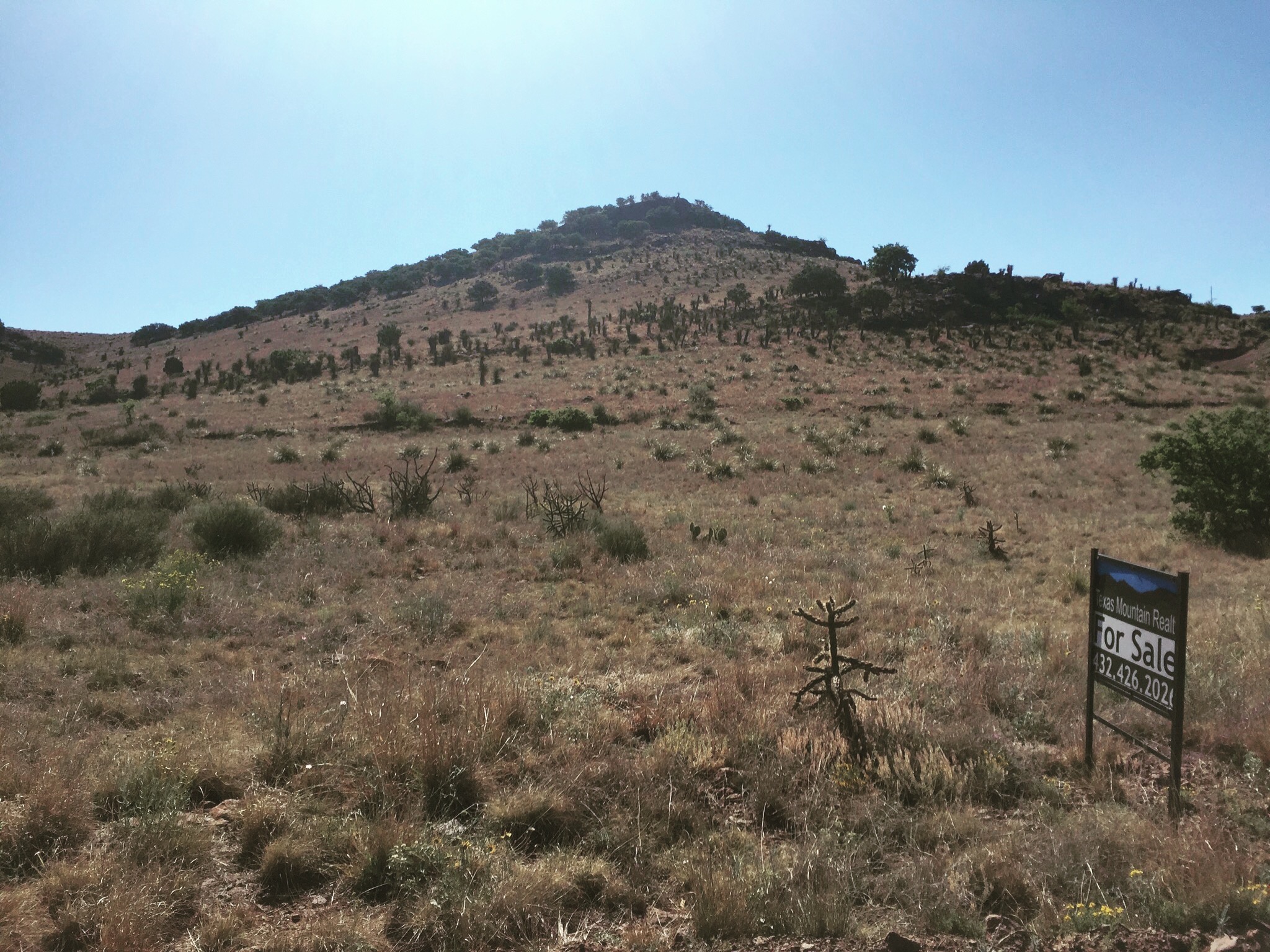 The 25 acre property extends up over the top of the hill and down the other side. The elevation at the top of the hill is about 5,700 ft.