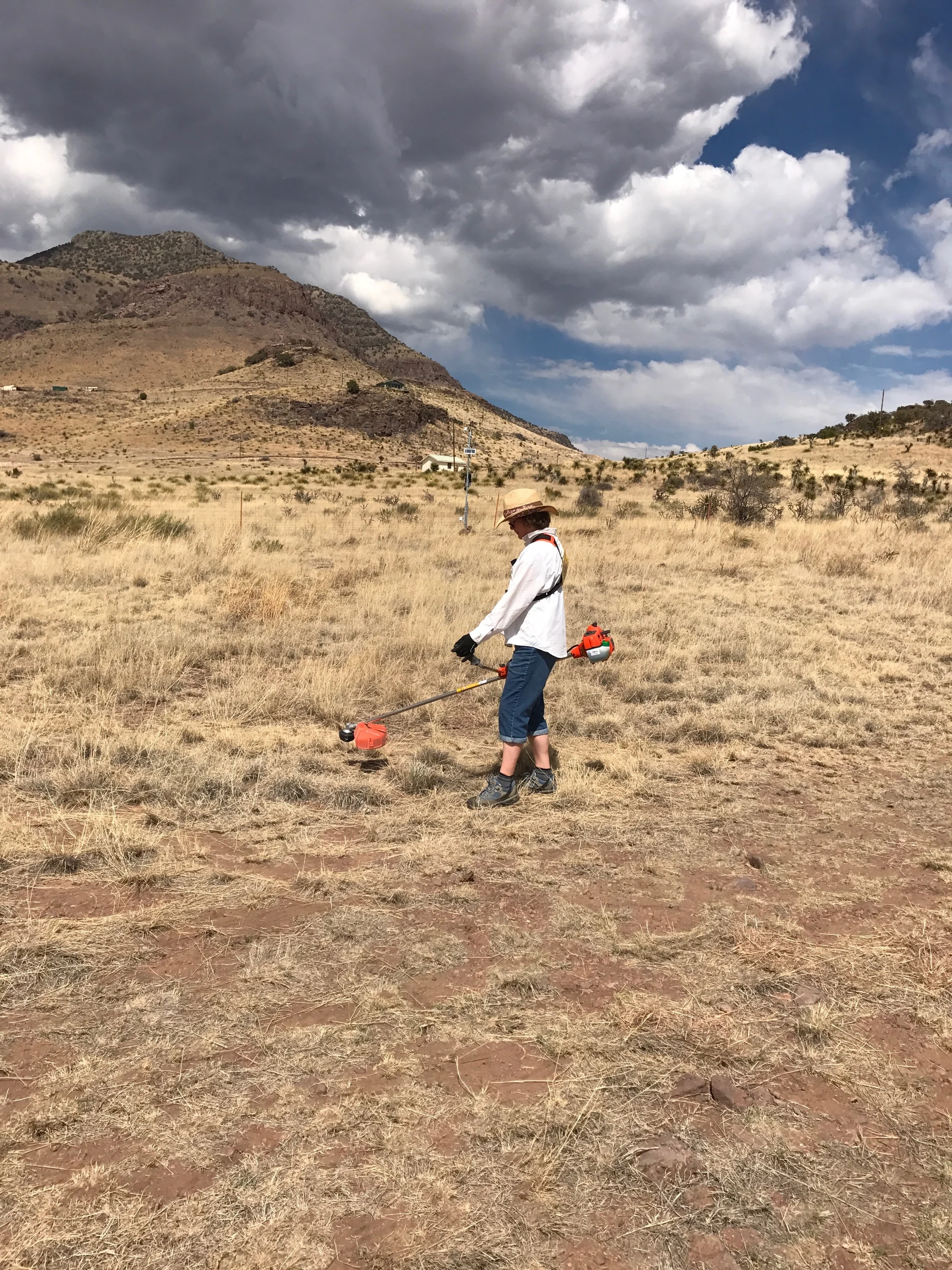 Mom using the brush cutter. (also check out that sky!)