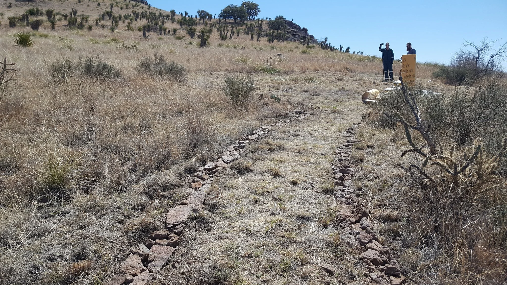 Eilis built a path from where the vineyard will be up to where the tent will be. Little by little things are starting to transform.