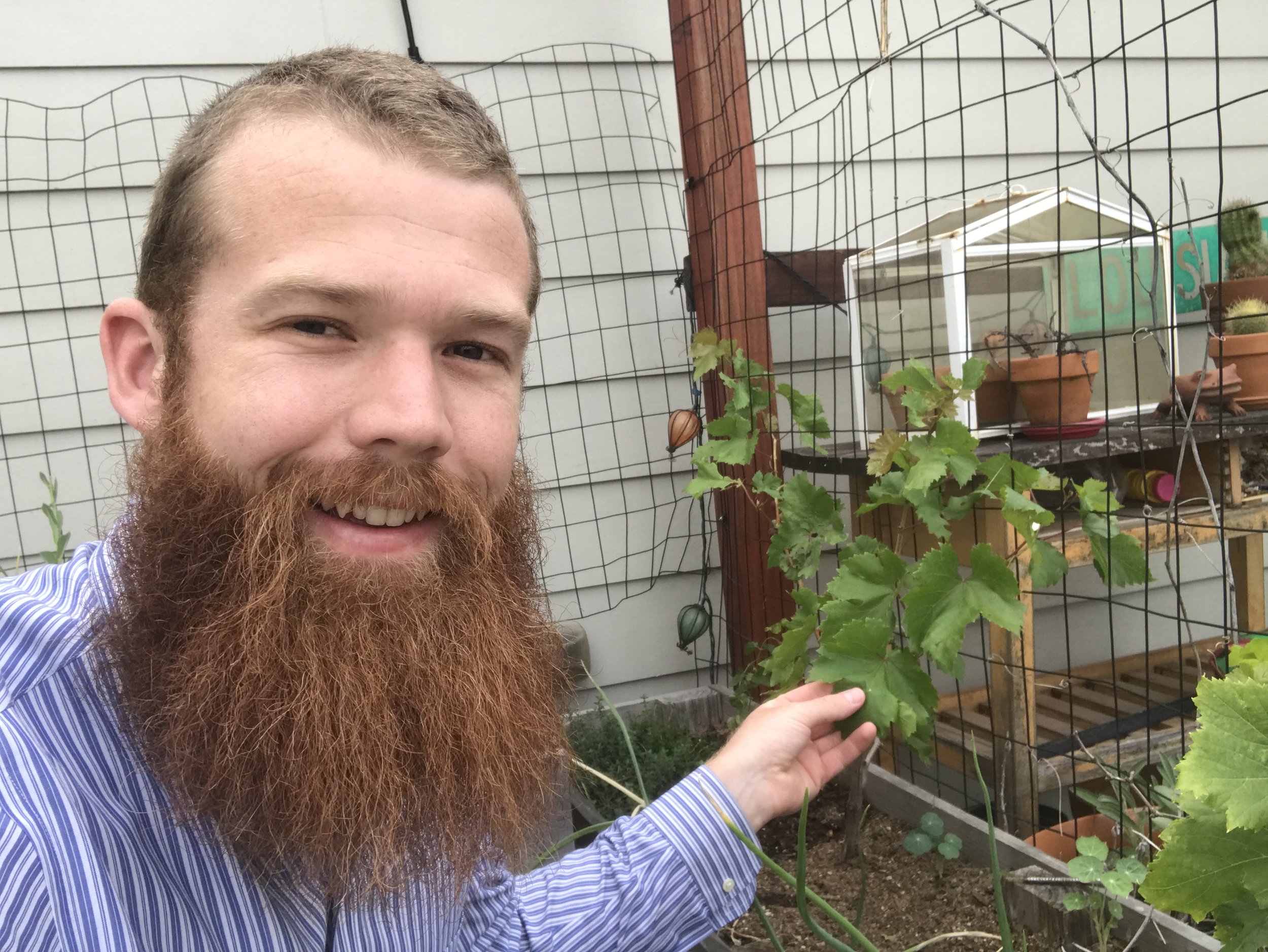 Come help plant vines, like these ones that I planted on my roof!