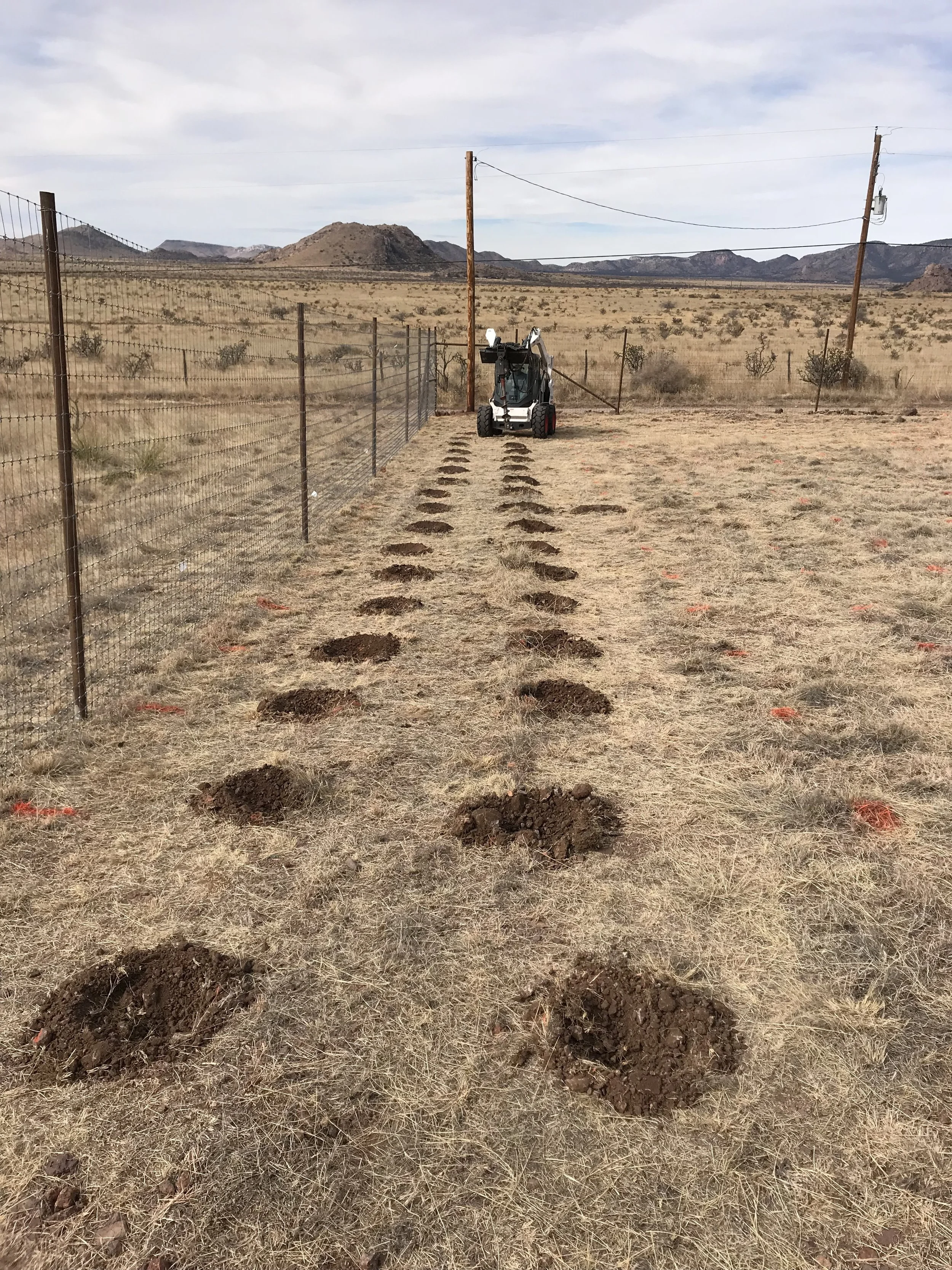 26. More than just Cabernet!