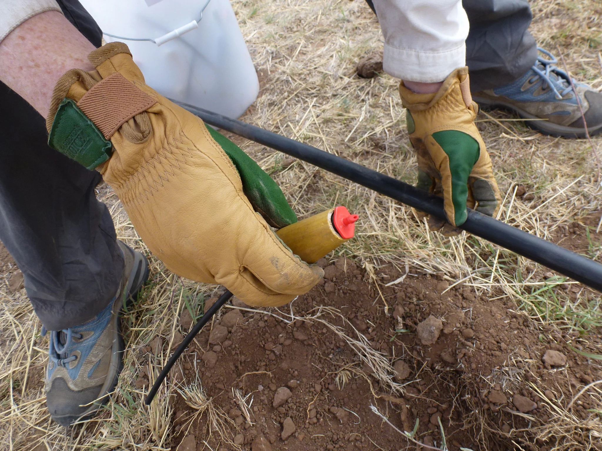 Here is a homemade tool we built to help snap the drip emitters into the drip line. 