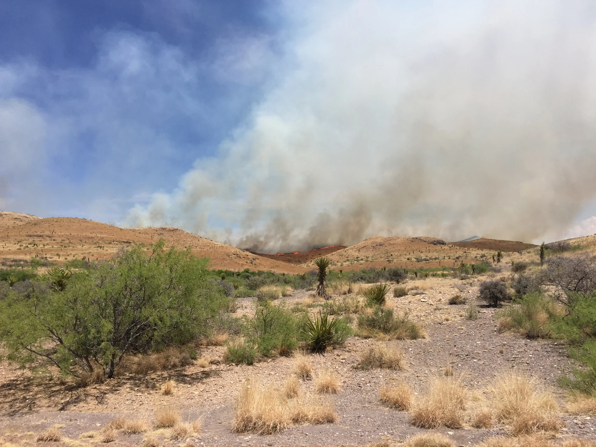 While i was struggling to fix the irrigation controller, a huge wild fire started just over the mountain and was filling the air with smoke. Fires can be extremely dangerous in the area because of the strong winds and the extreme dryness.