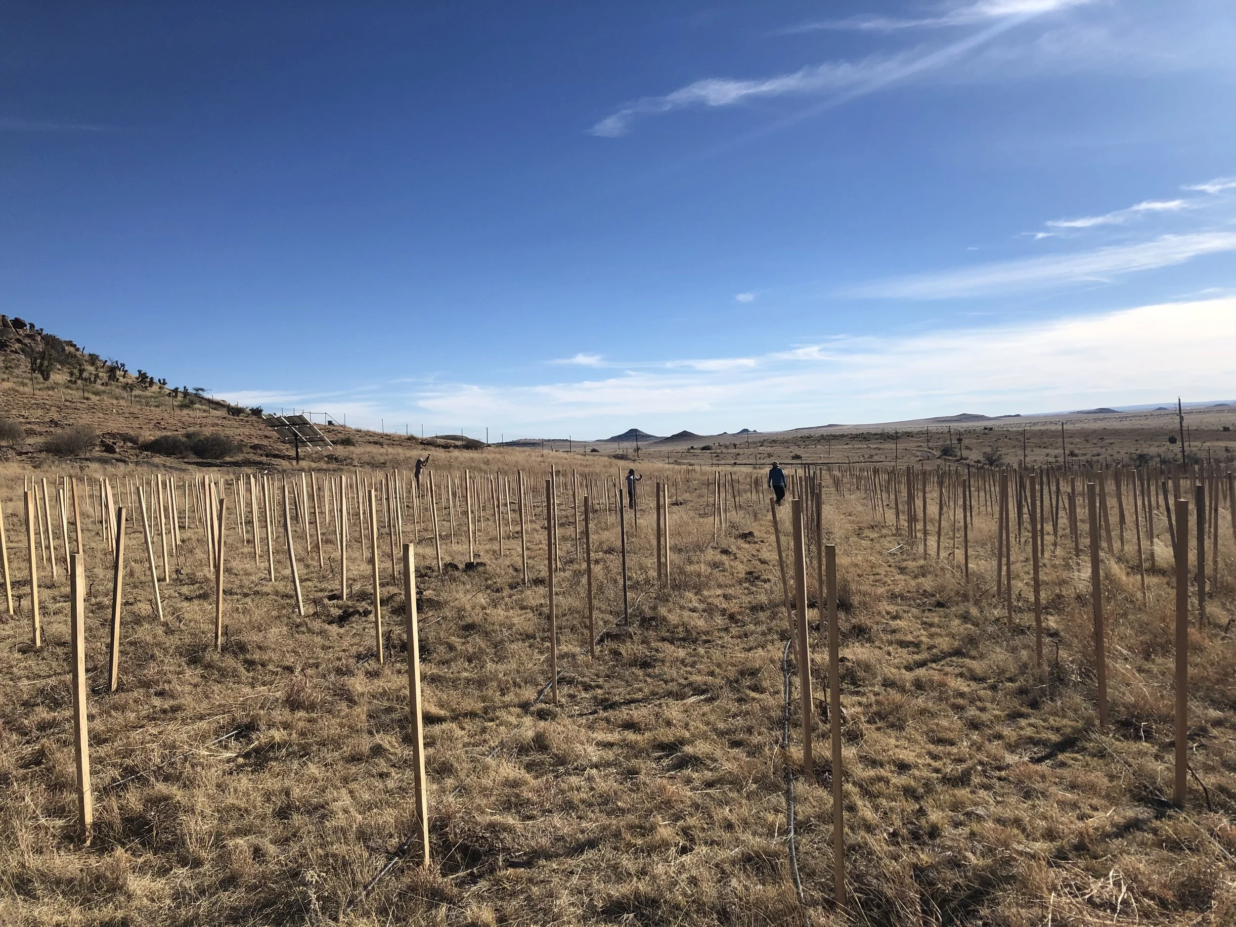 34. Planting Time is Here! 2019 Edition!