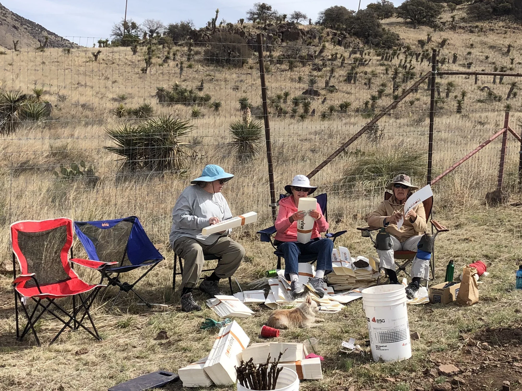 Karla, Jean and Hatsy folding vine protectors.