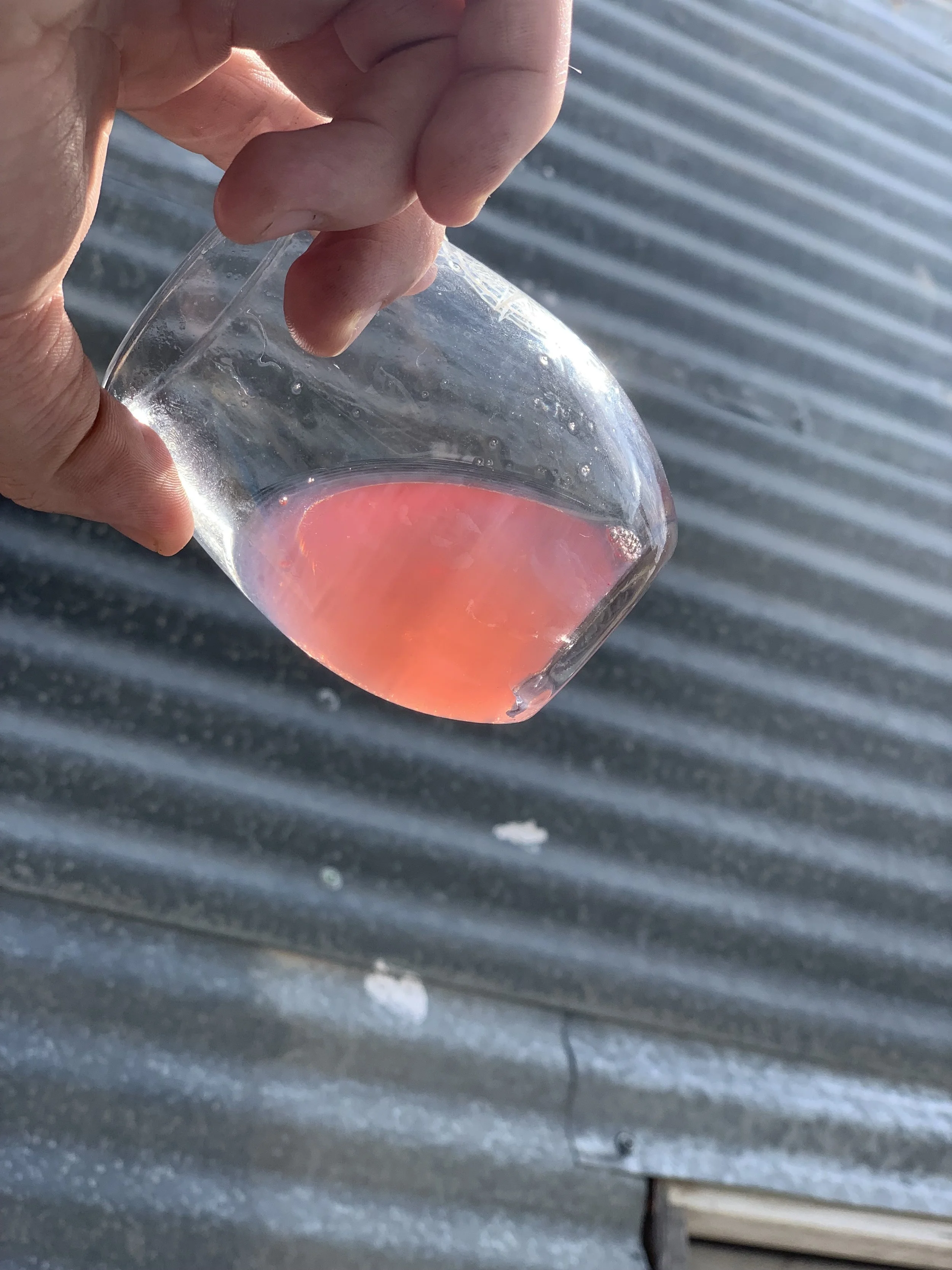 36. We Made Our First Wine!