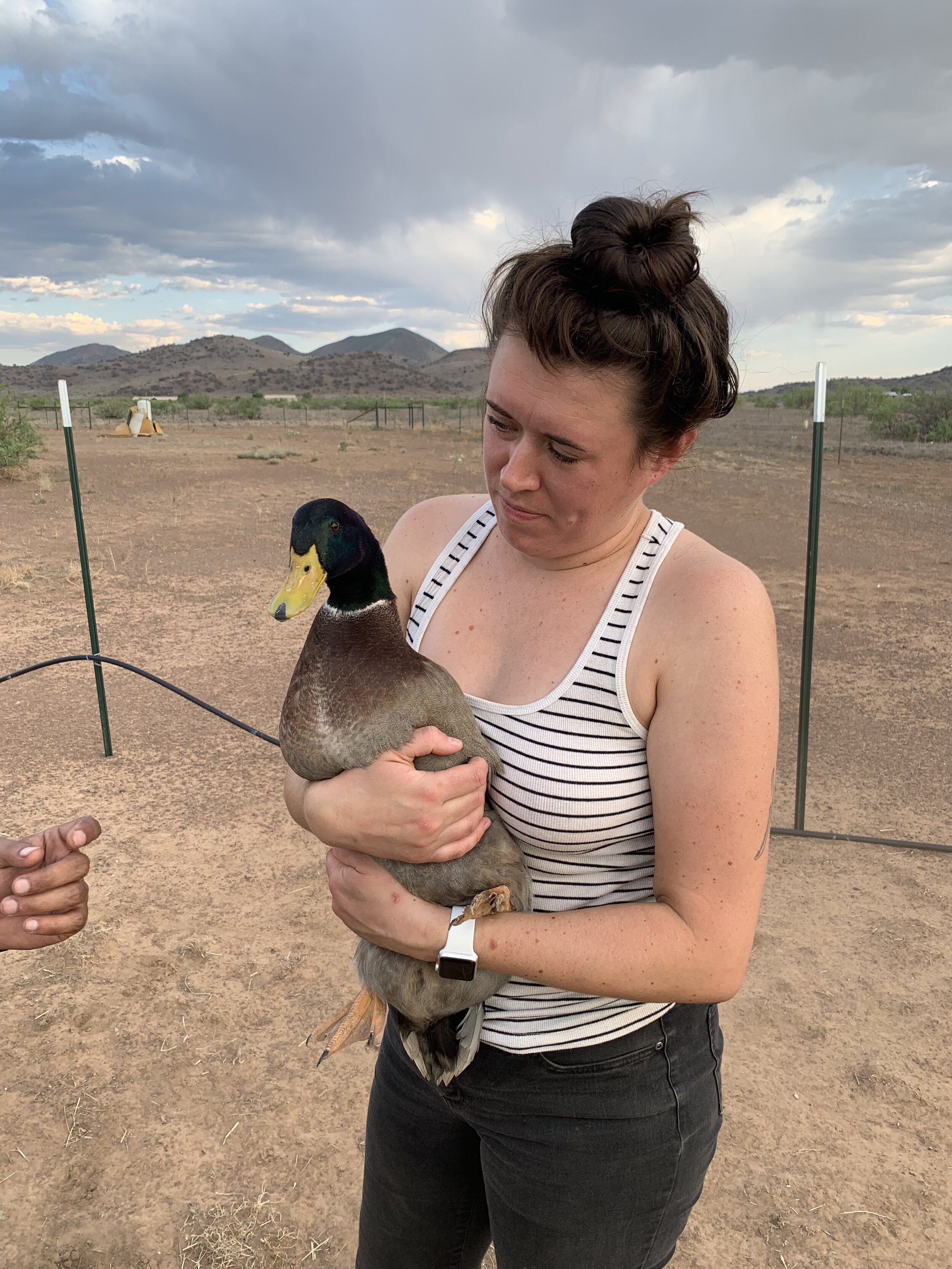 Katie and one of our male ducks. Our two male ducks became delicious food soon after this.