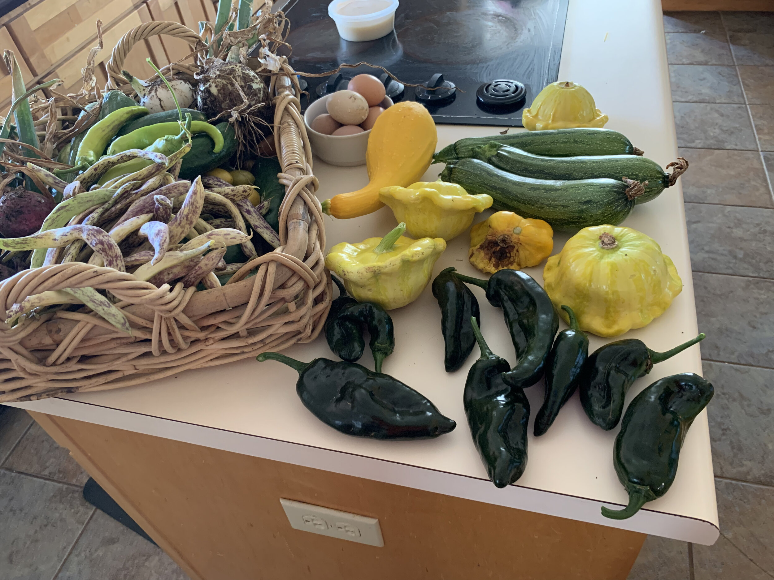 The produce of our garden was bountiful!