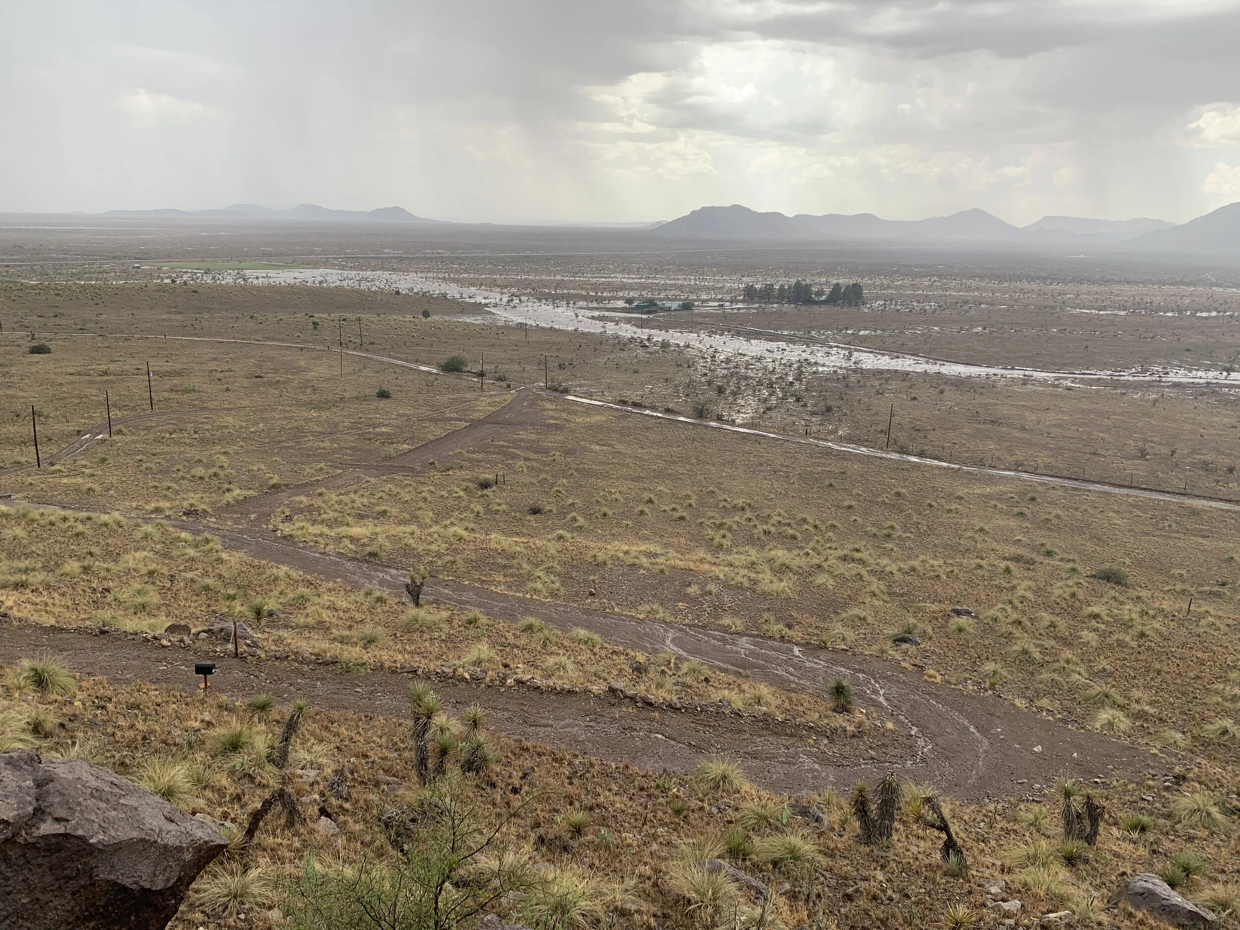 This picture is taken from the top of the hill at the vineyard. The river running through the pasture below is a flash flood. The sound of the water moving is deafening. This sudden river is probably 50 feet wide and 3-4 feet deep.