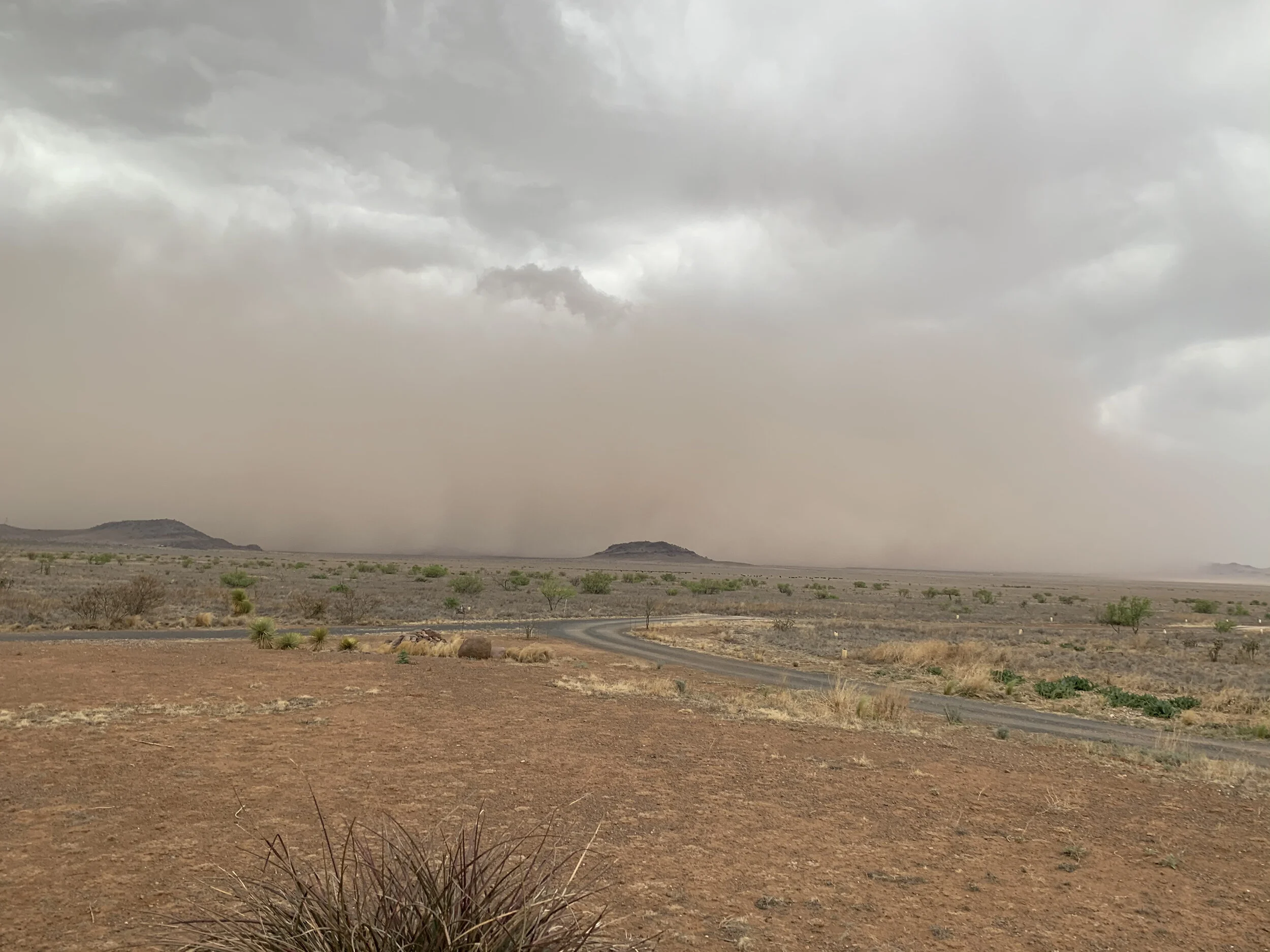 This was one of the first rains of the year. The ground was still parched and very dusty. The rain and wind were very intense and stirred all the dust up into the air. The view of Blue Mountain is totally obscured.