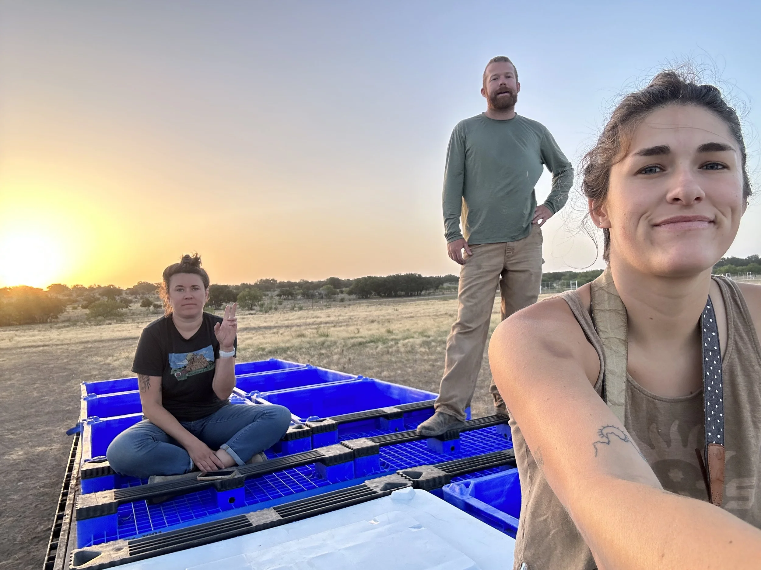 46. We are on the brink