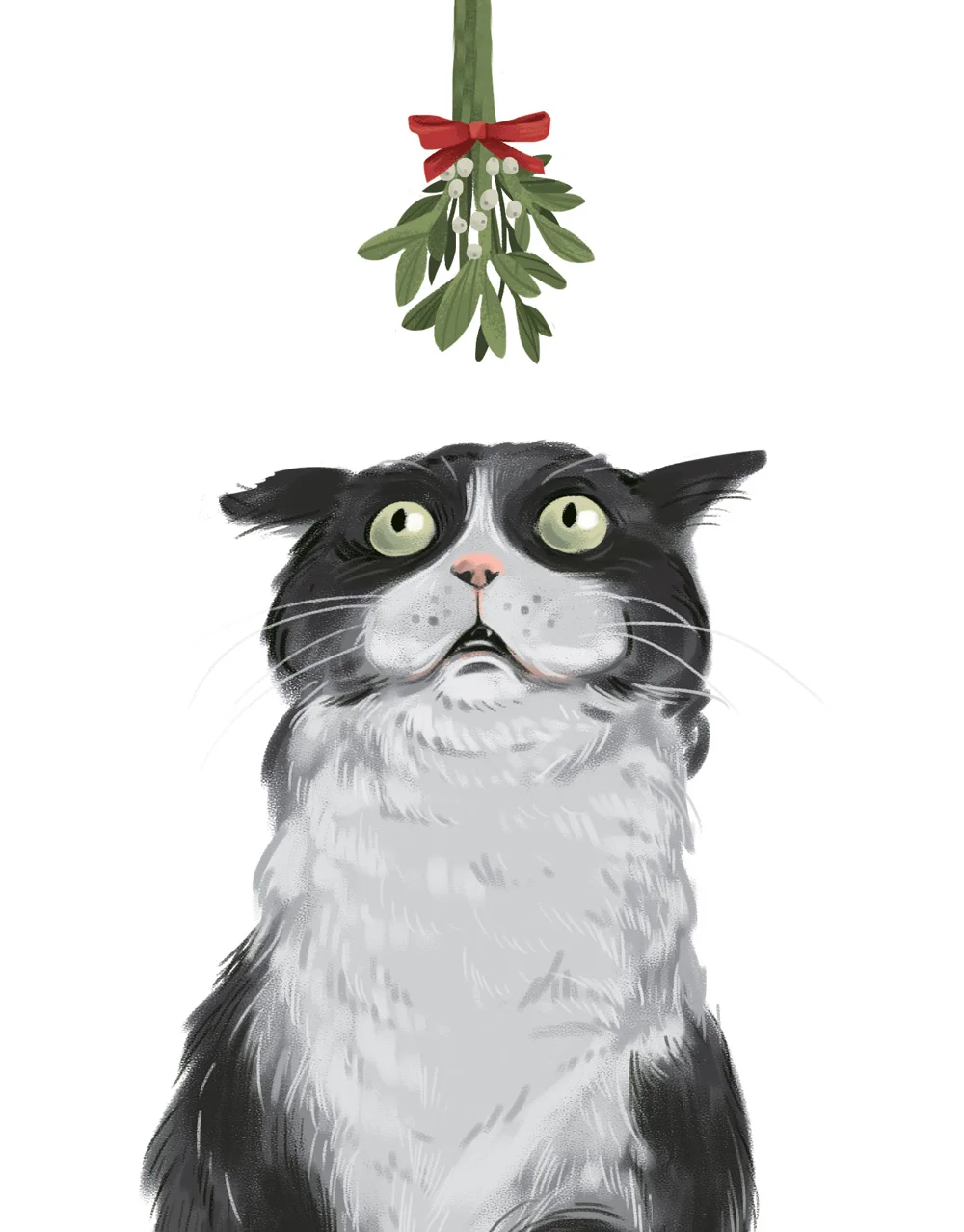 Cat-Mistletoe.jpg
