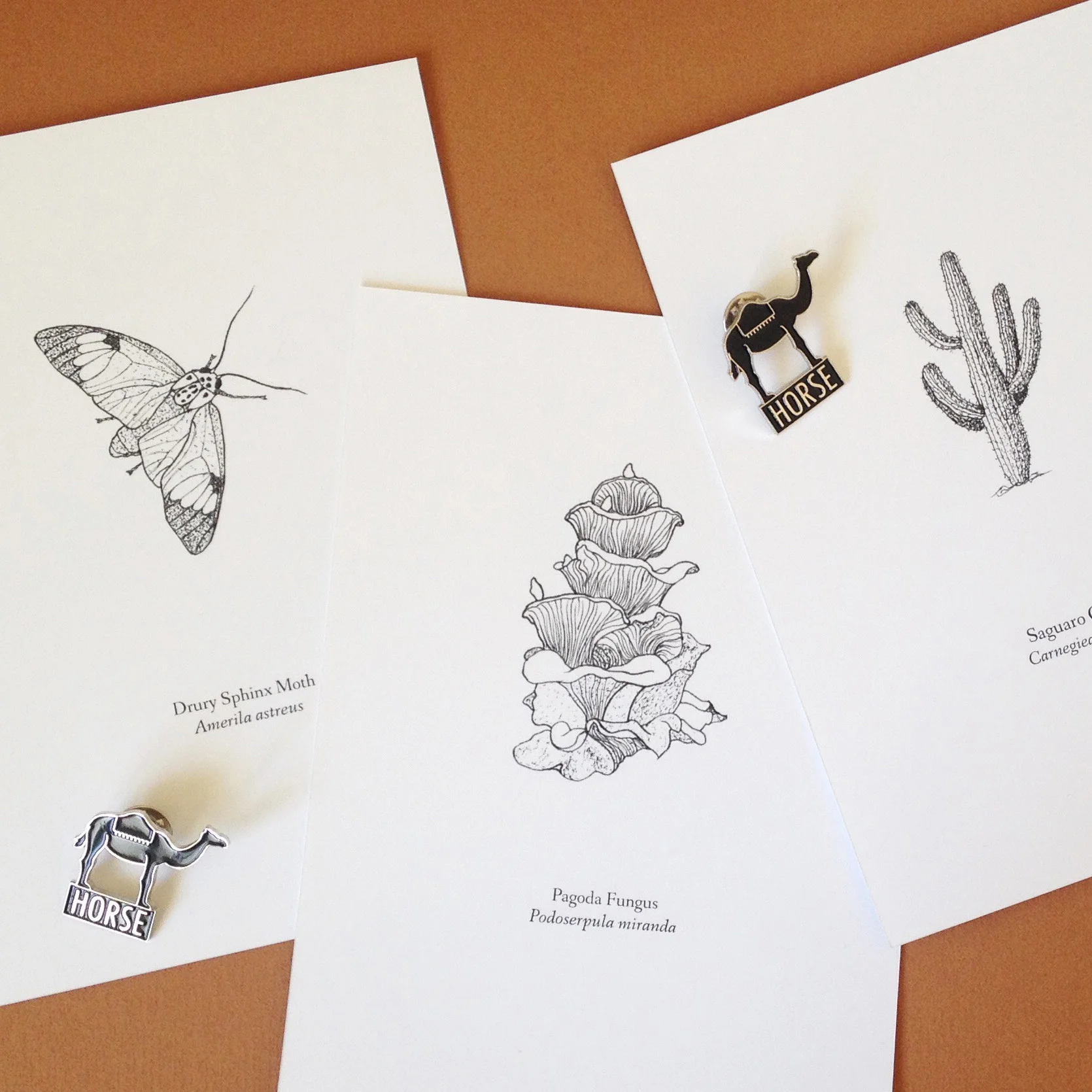 Prints and Pins.jpg